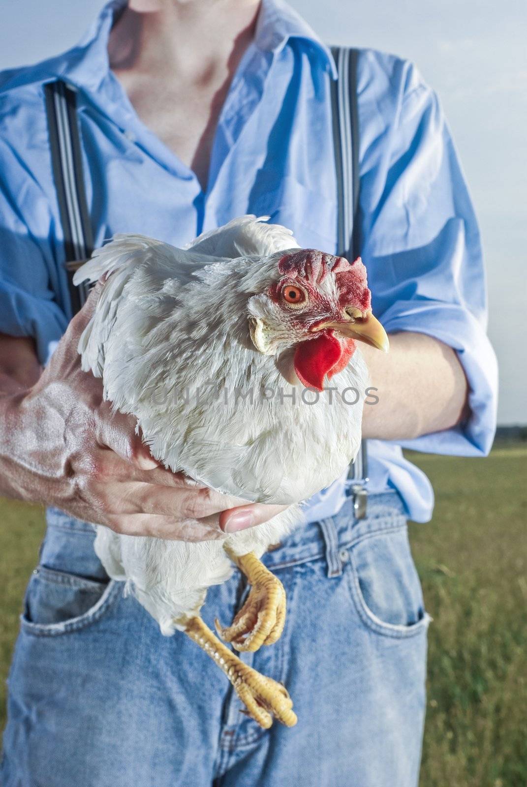 farmer is holding his best chicken towards the camera