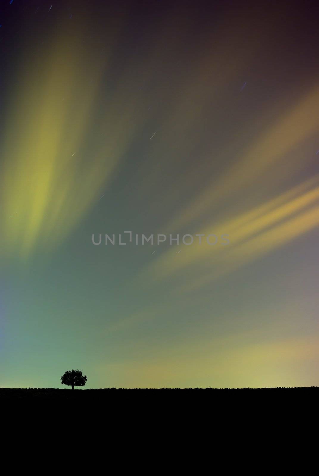 Colorful Night Sky with Tree by filmstroem