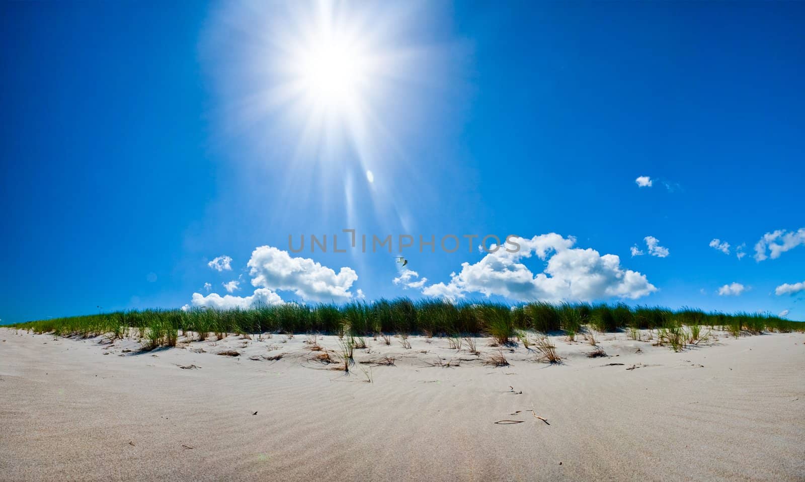sun shining above a dune at the beach, baltic sea, germany