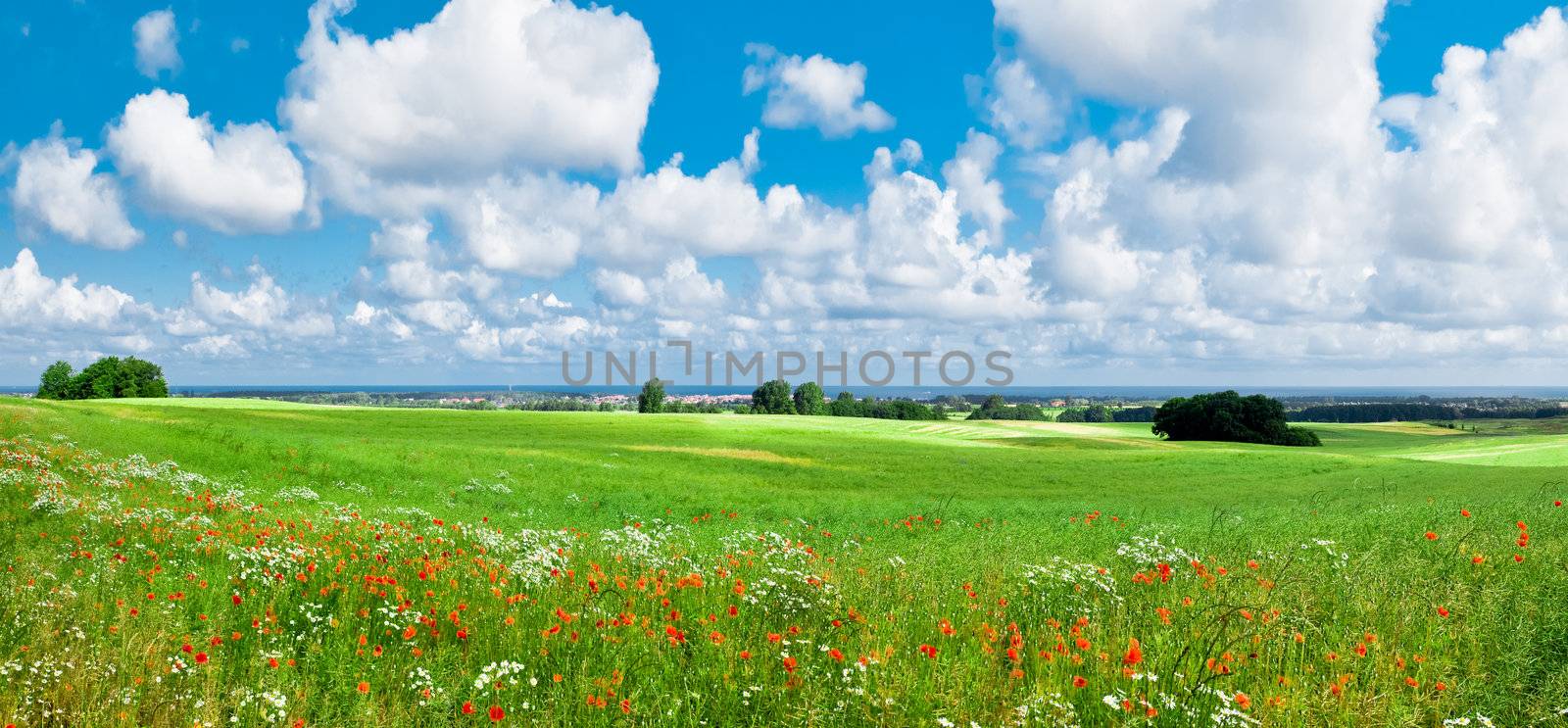scenic view over a wild meadow towards the baltic sea, germany