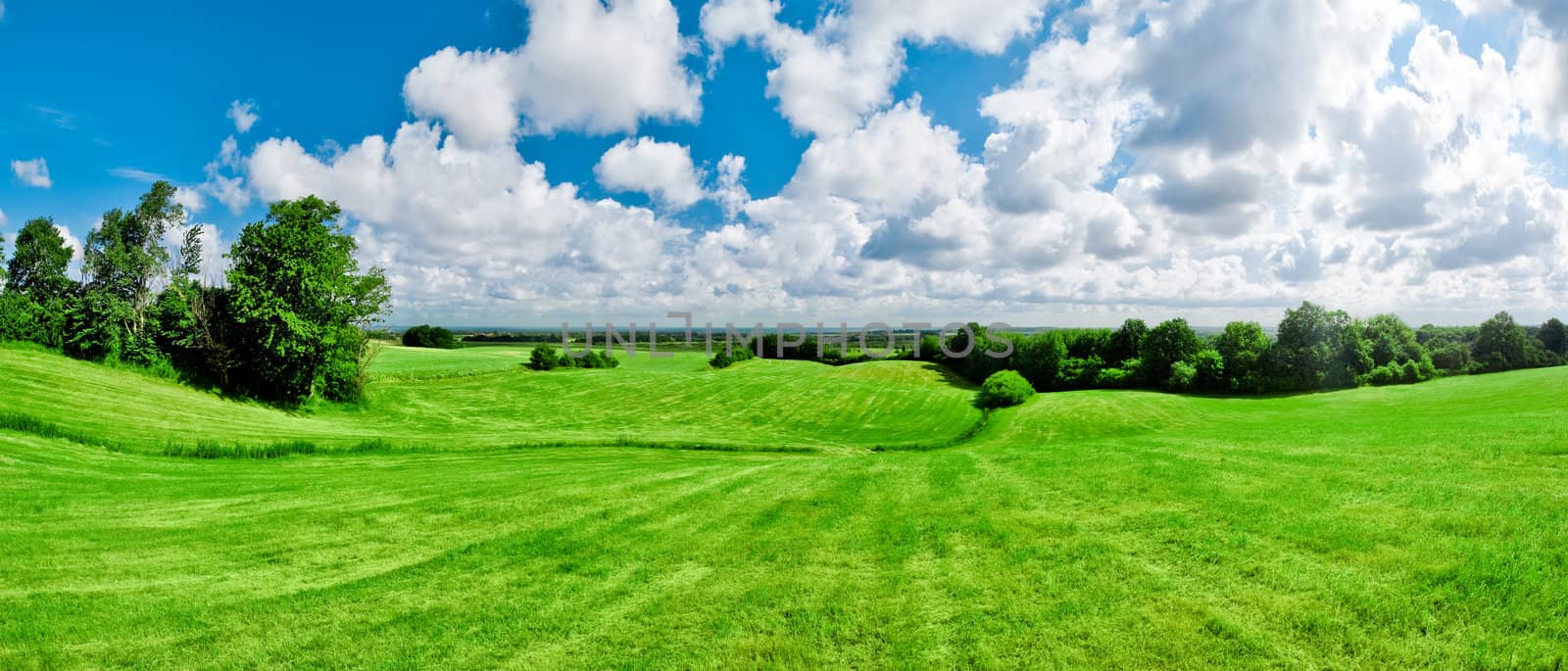 view over a meadow leading towards the baltic sea, germany
