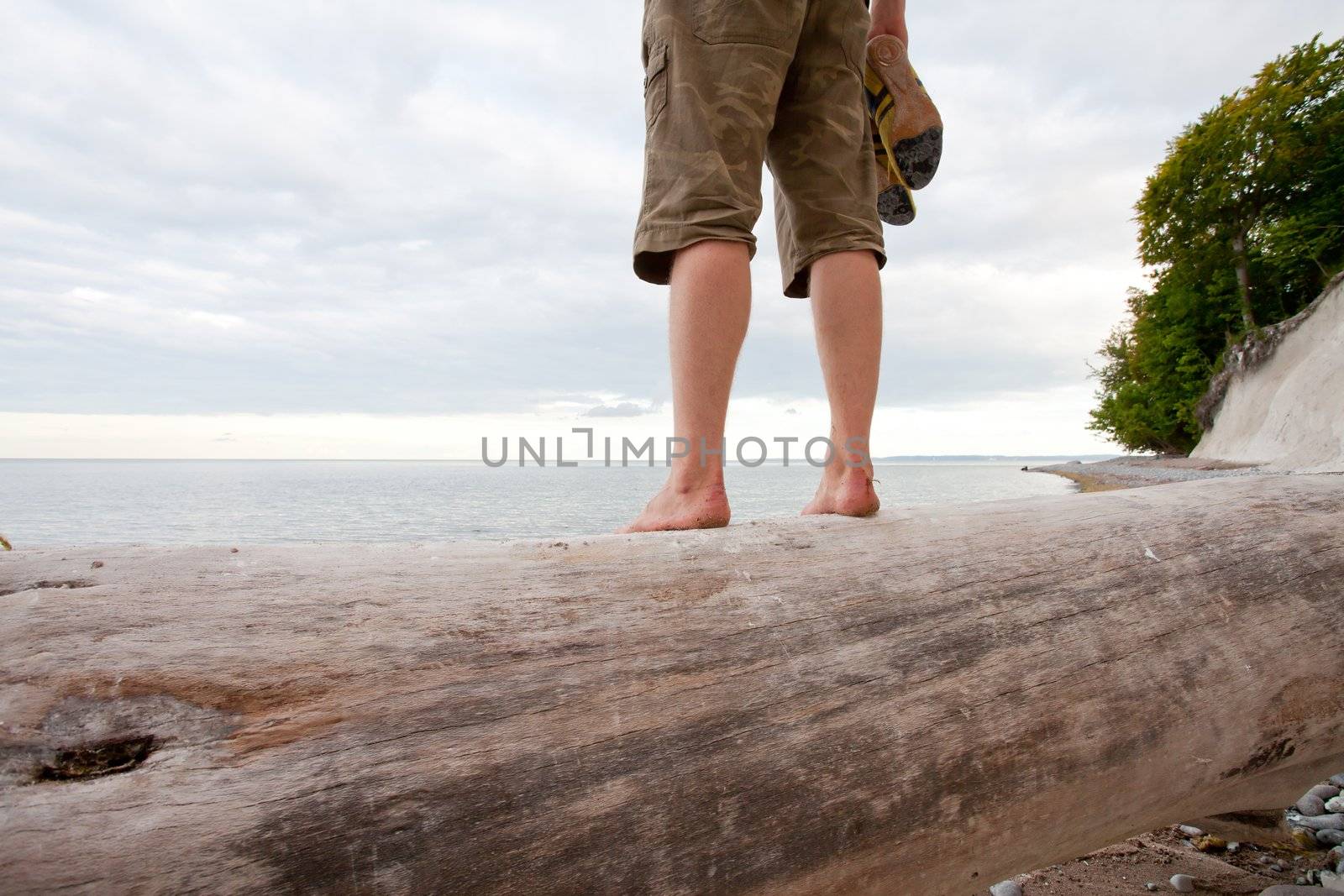 man standing barefoot man on a big driftwood tree trunk watching the ocean on the island of ruegen, germany