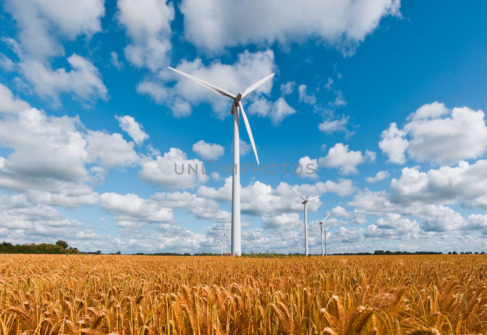 wind turbines in rural area on a wheat field in front of a beautiful sky