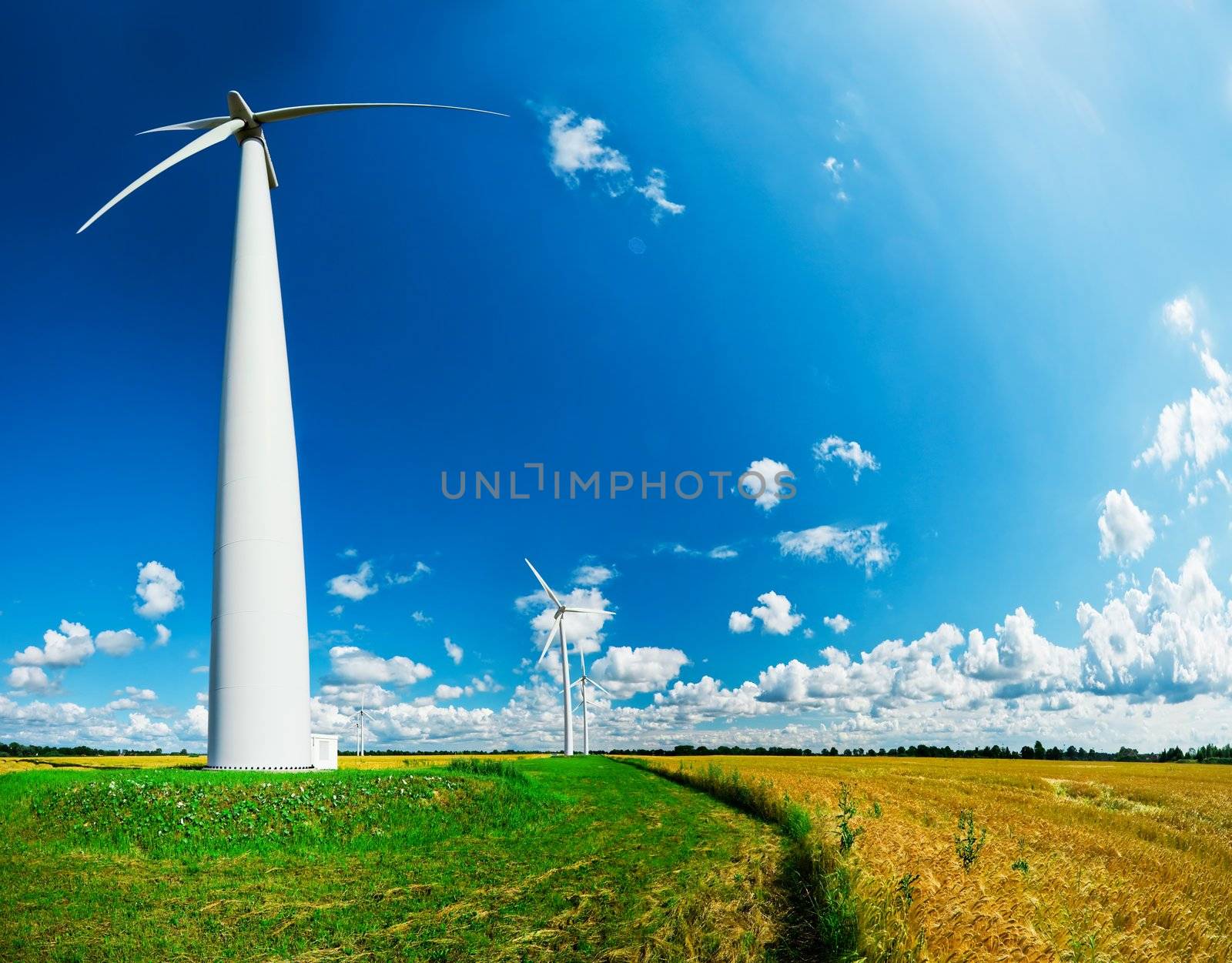 wind turbines in rural area on a field in front of a beautiful sky