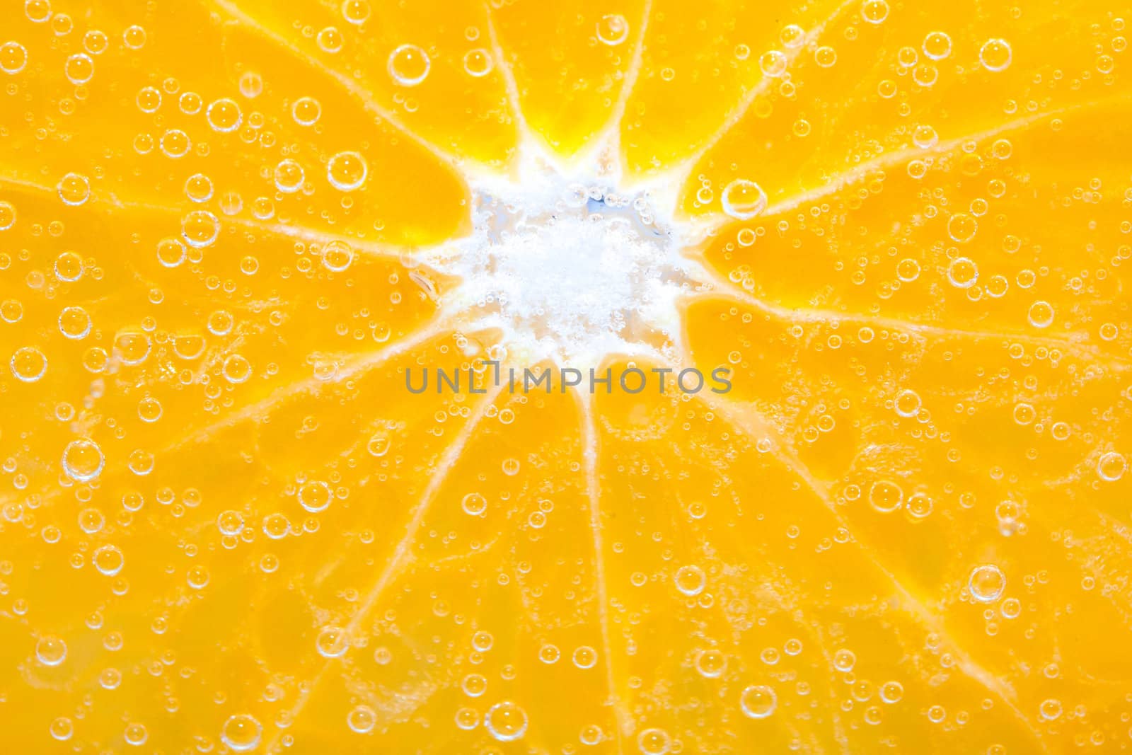 orange with water by thanatip