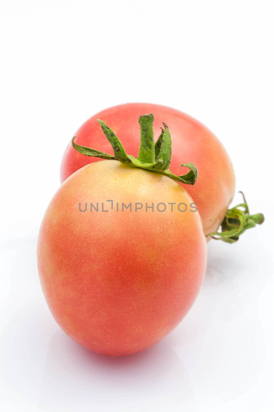 Tomato red is placed on a white background.