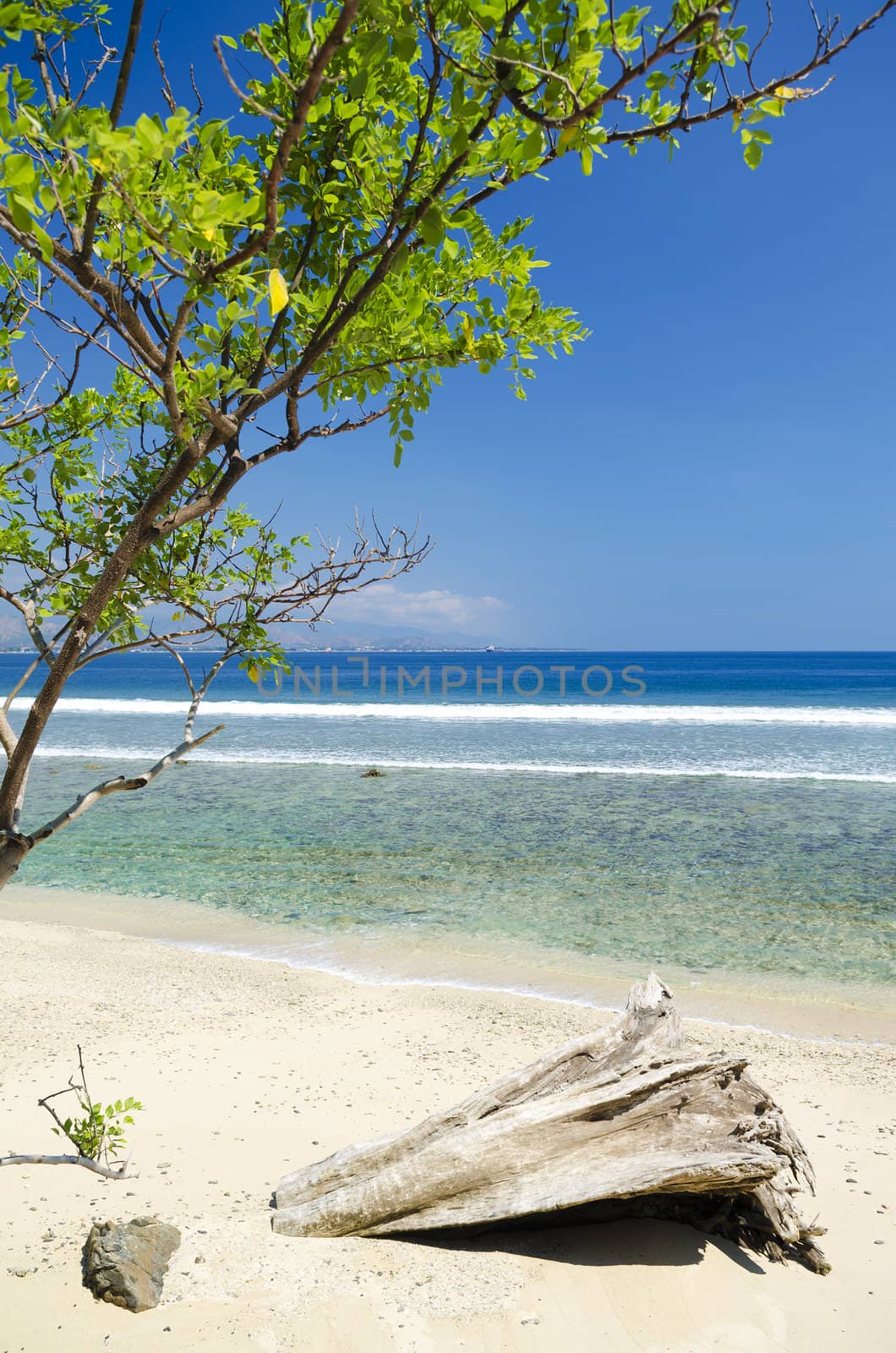 areia branca beach near dili in east timor, timor leste