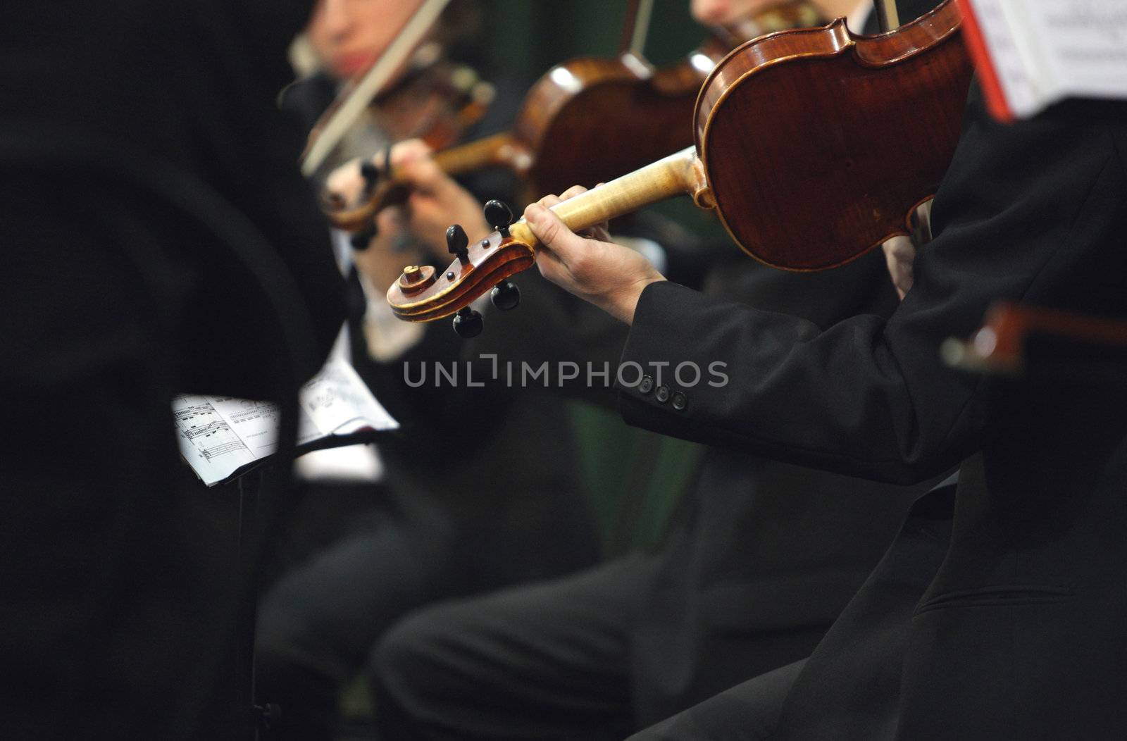 violinist at the concert