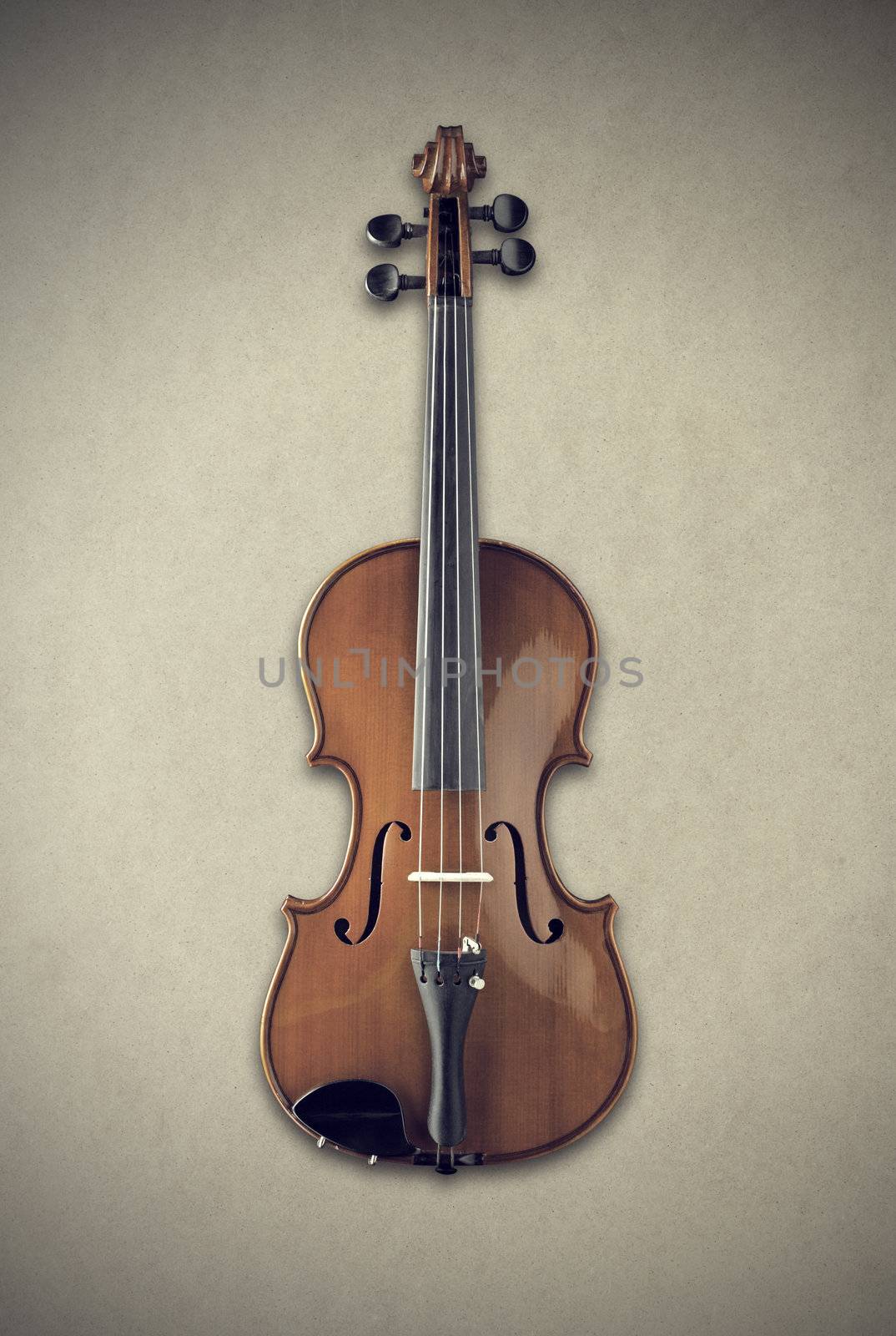 front view shot of a violin 