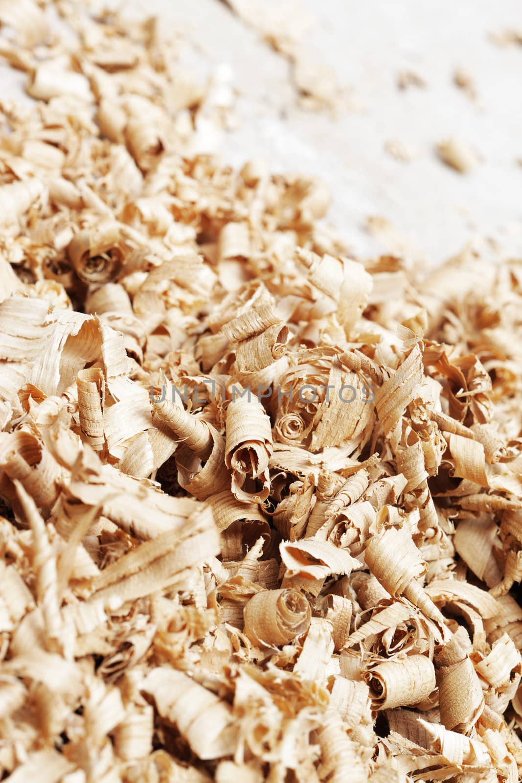 Close up of a wood shavings