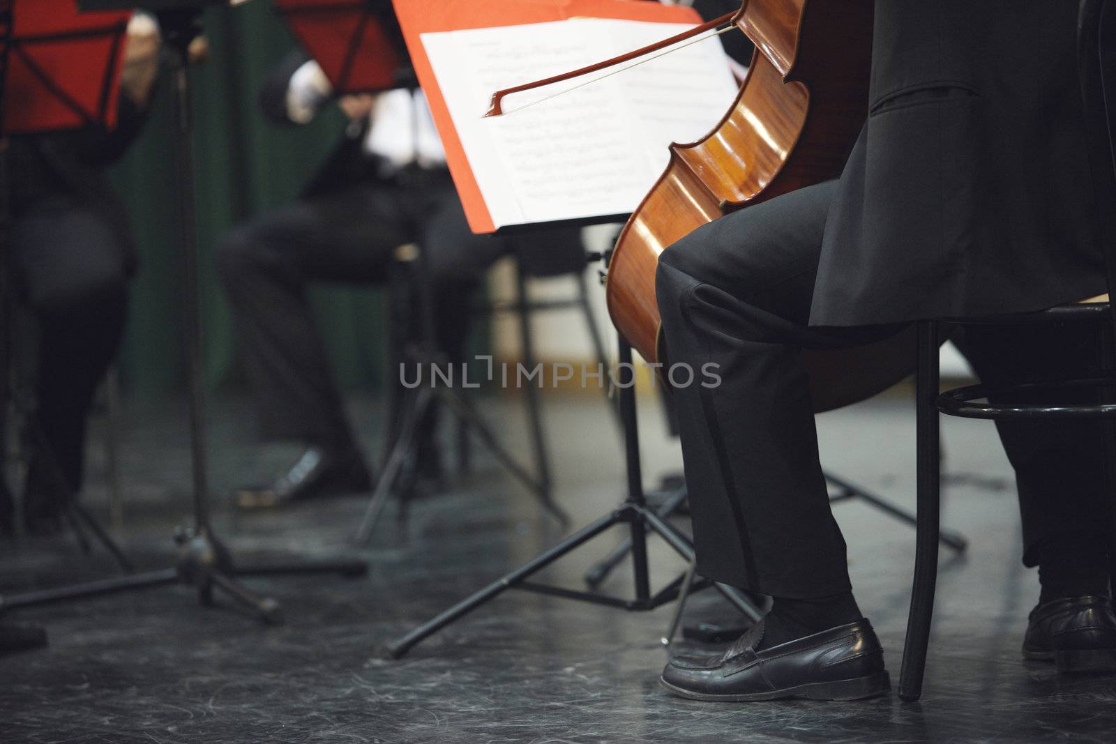 Cello musician at the concert