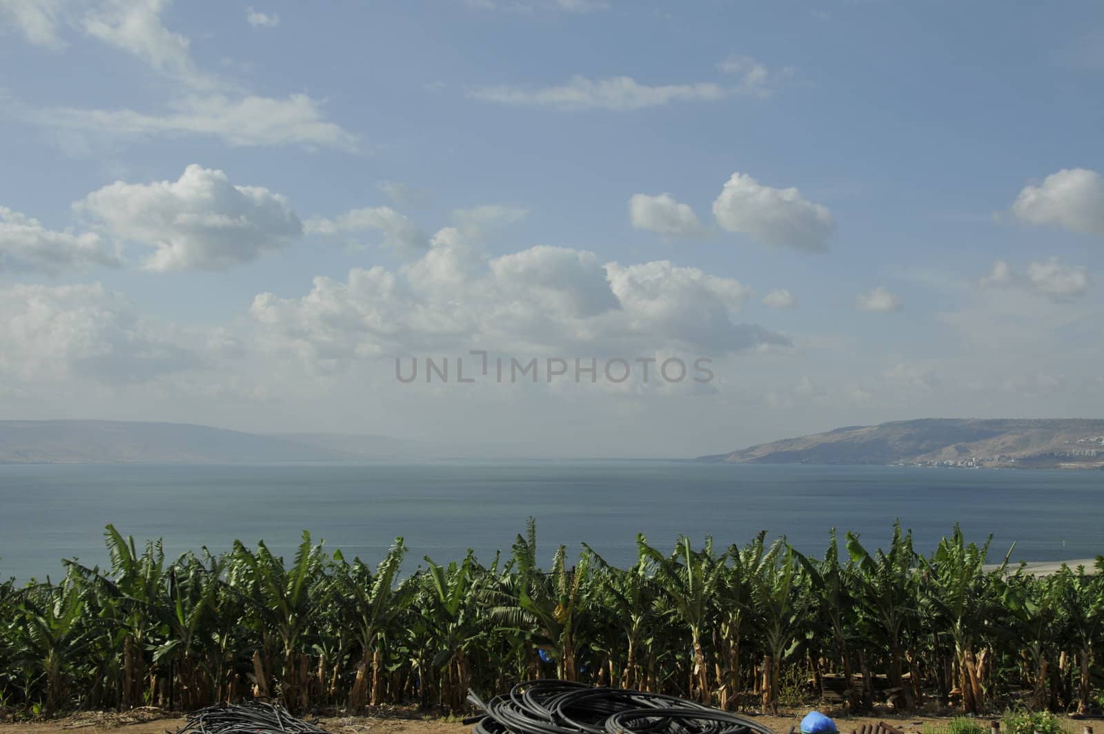 landscape israel