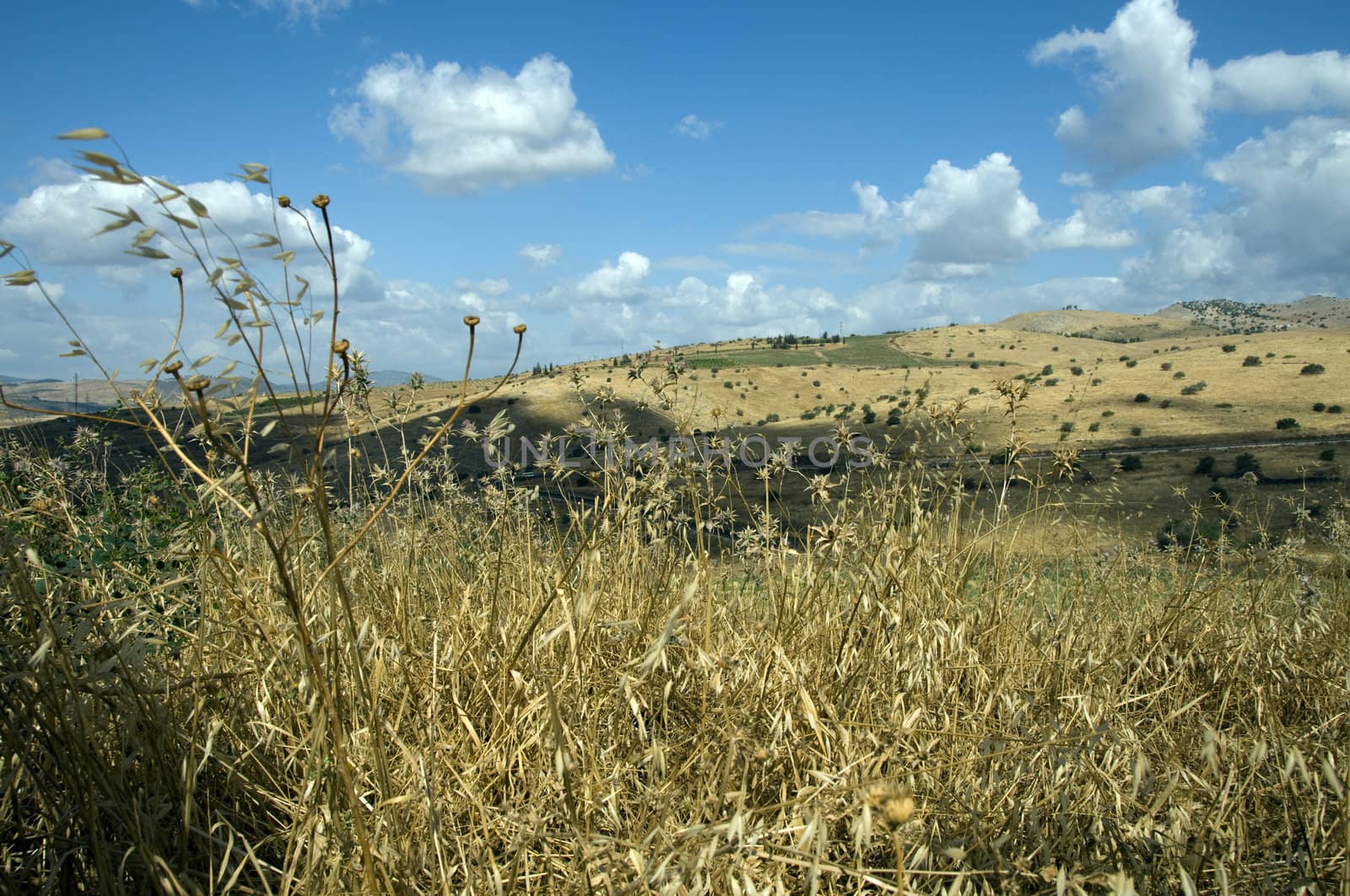 landscape israel