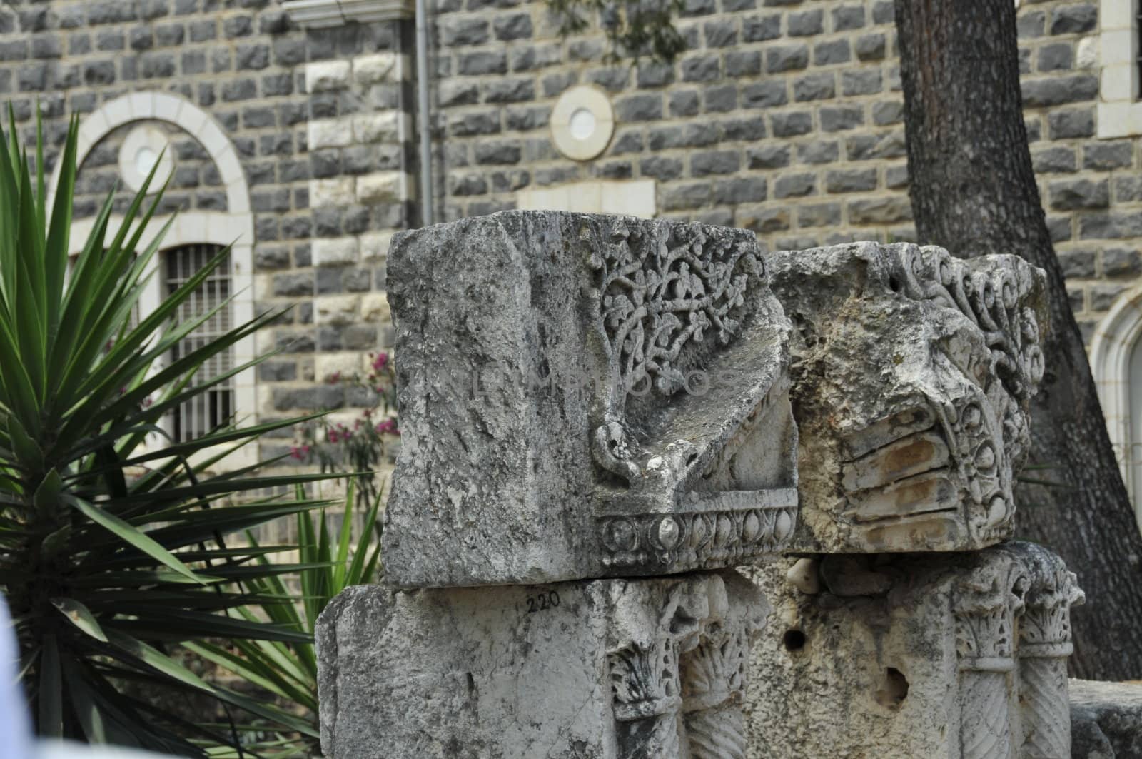 Synagogue ruins