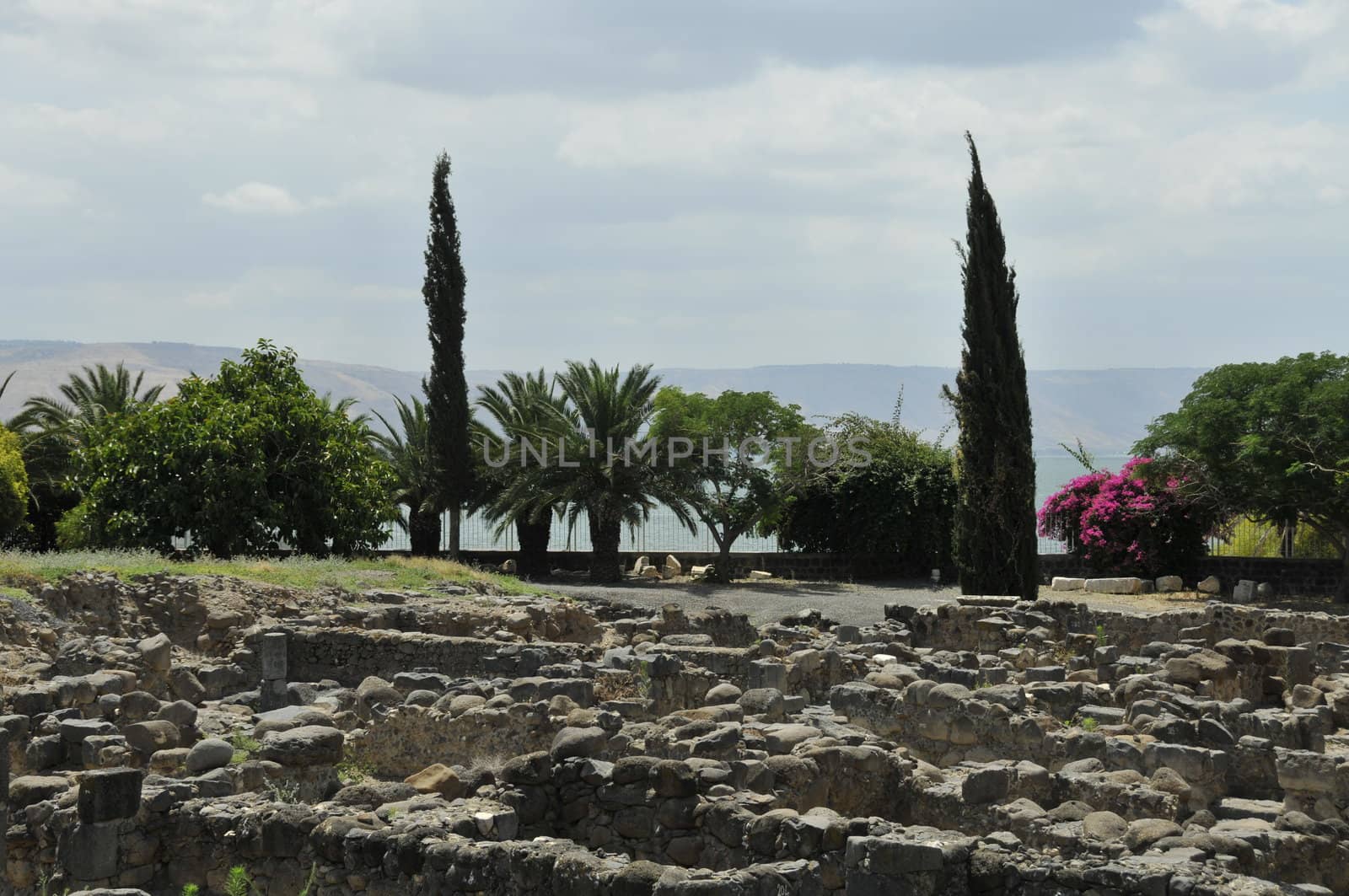 Synagogue ruins