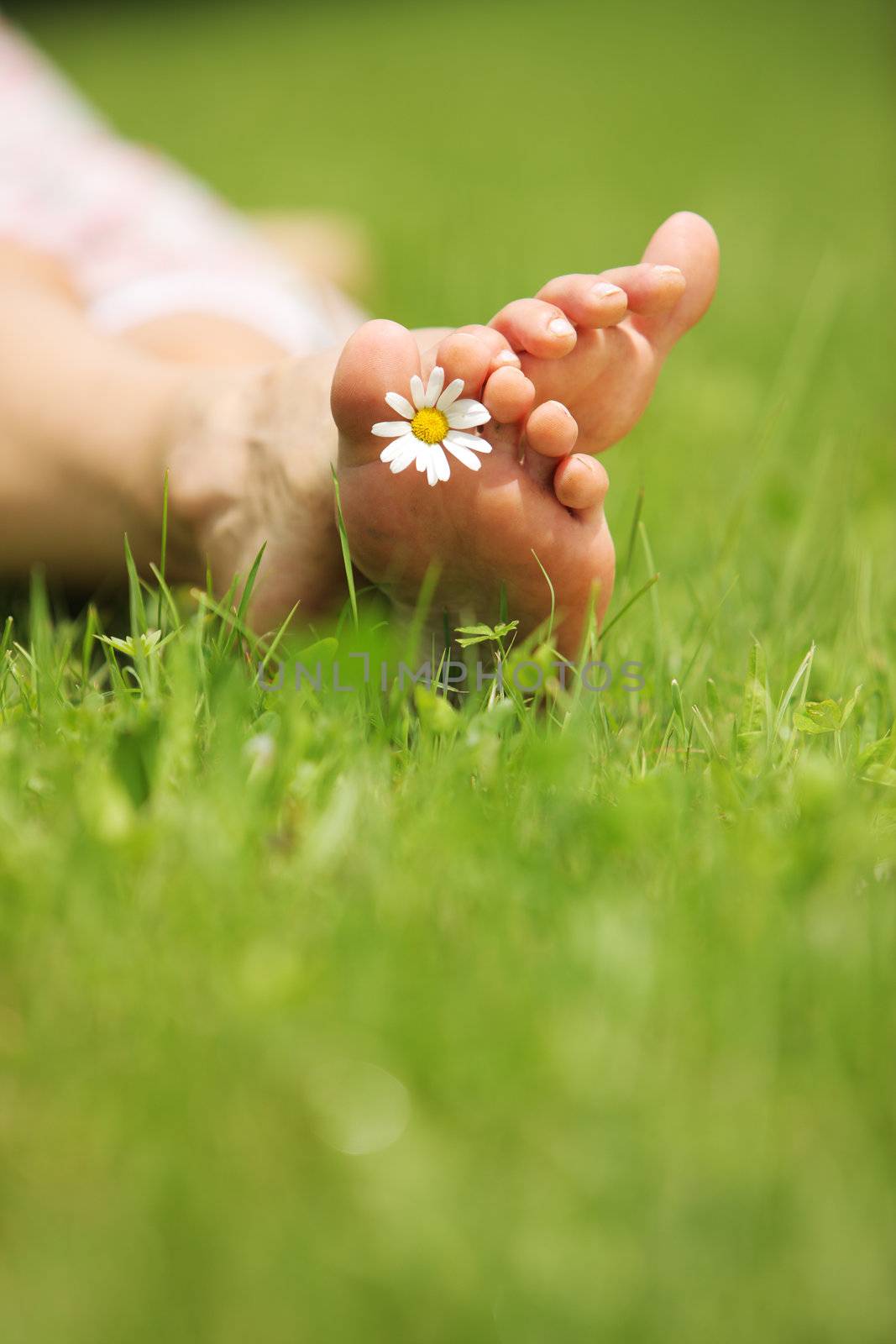 Daisy and bare feet on green grass, copy space