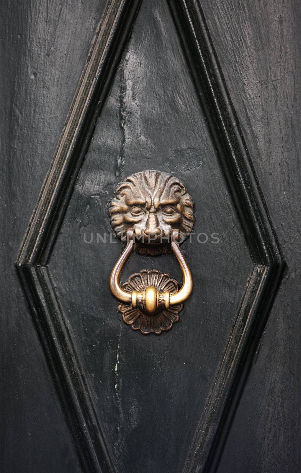Antique door knocker in Venice, Italy