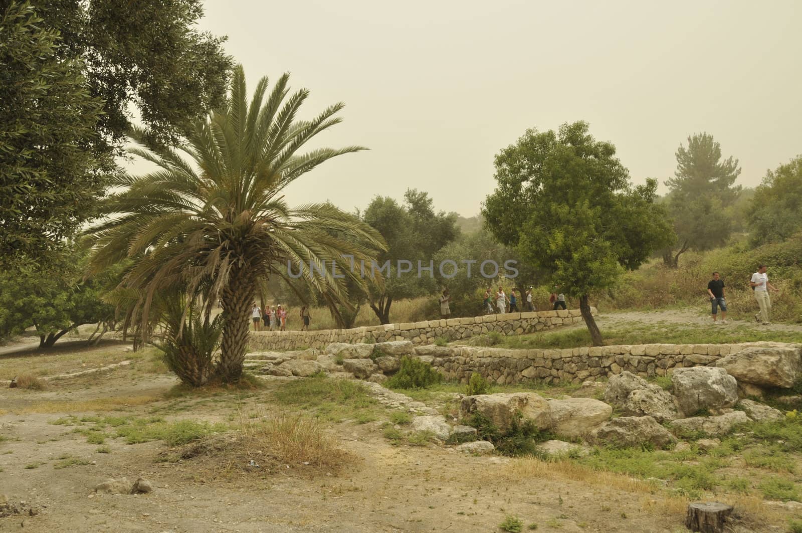 Emmaus the place where Jesus walked by compuinfoto