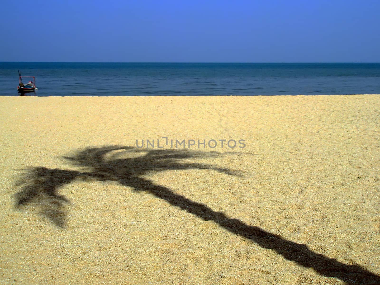 Shadow of the palm tree. by GNNick