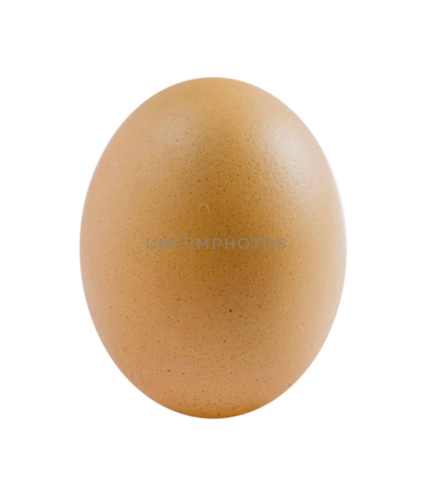 single brown egg on white background .