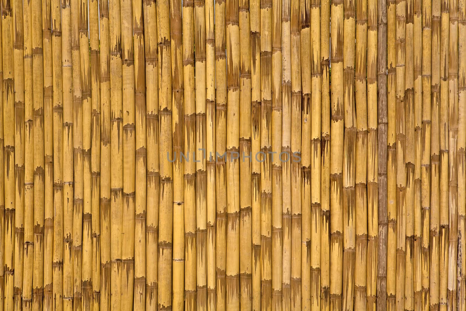 Abstract background of vertical, yellow bamboo strips.