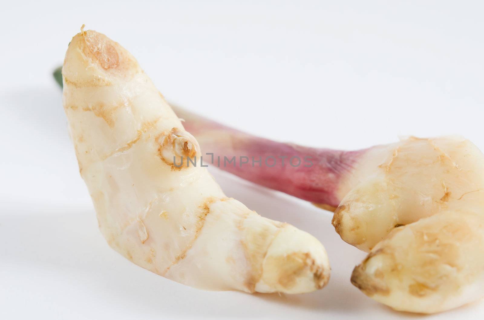 close-up  fresh ginger root on white