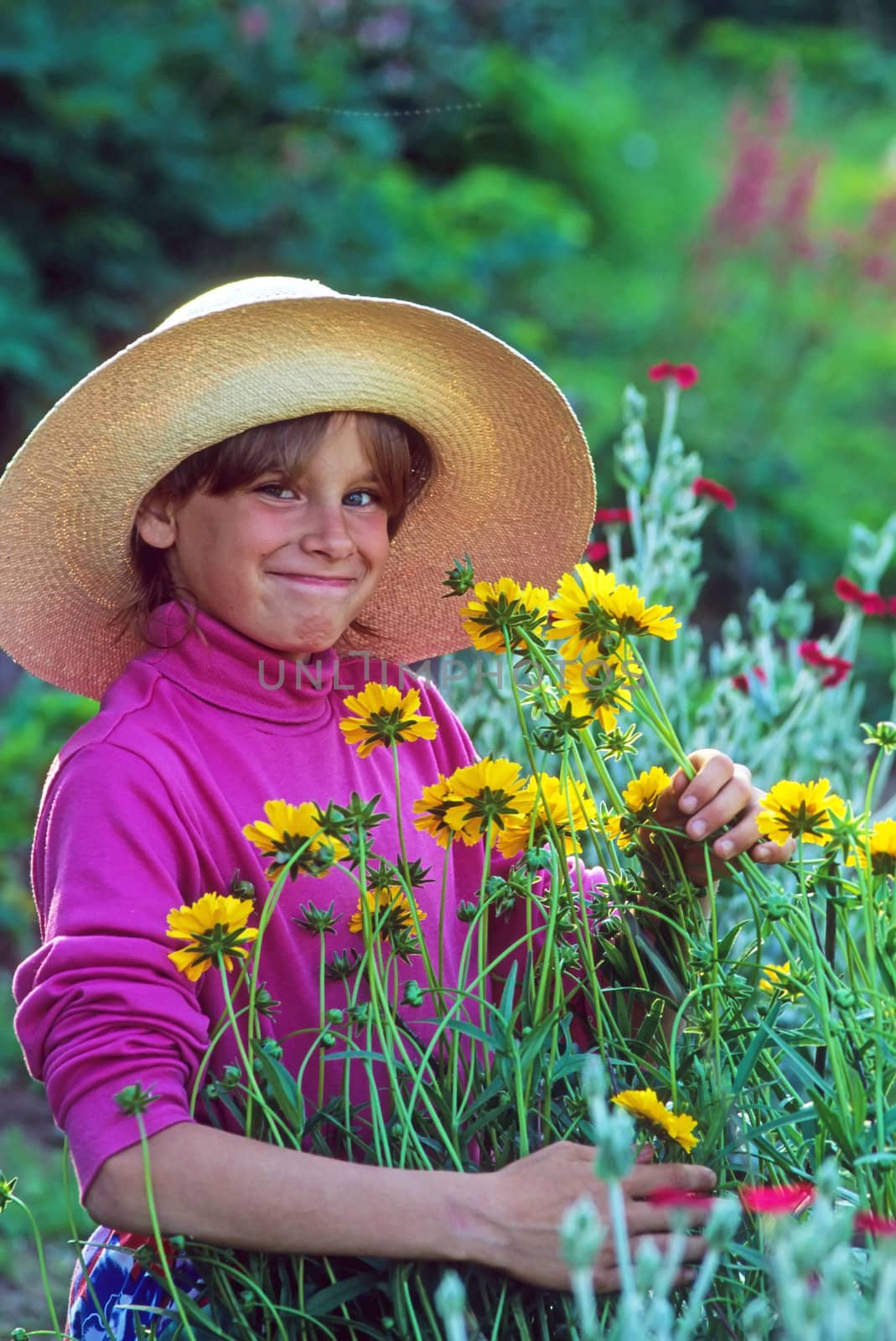 A young, pretty girl in a wide brim straw hat and a magenta colored turtleneck shirt is smiling and picking yellow garden flowers.