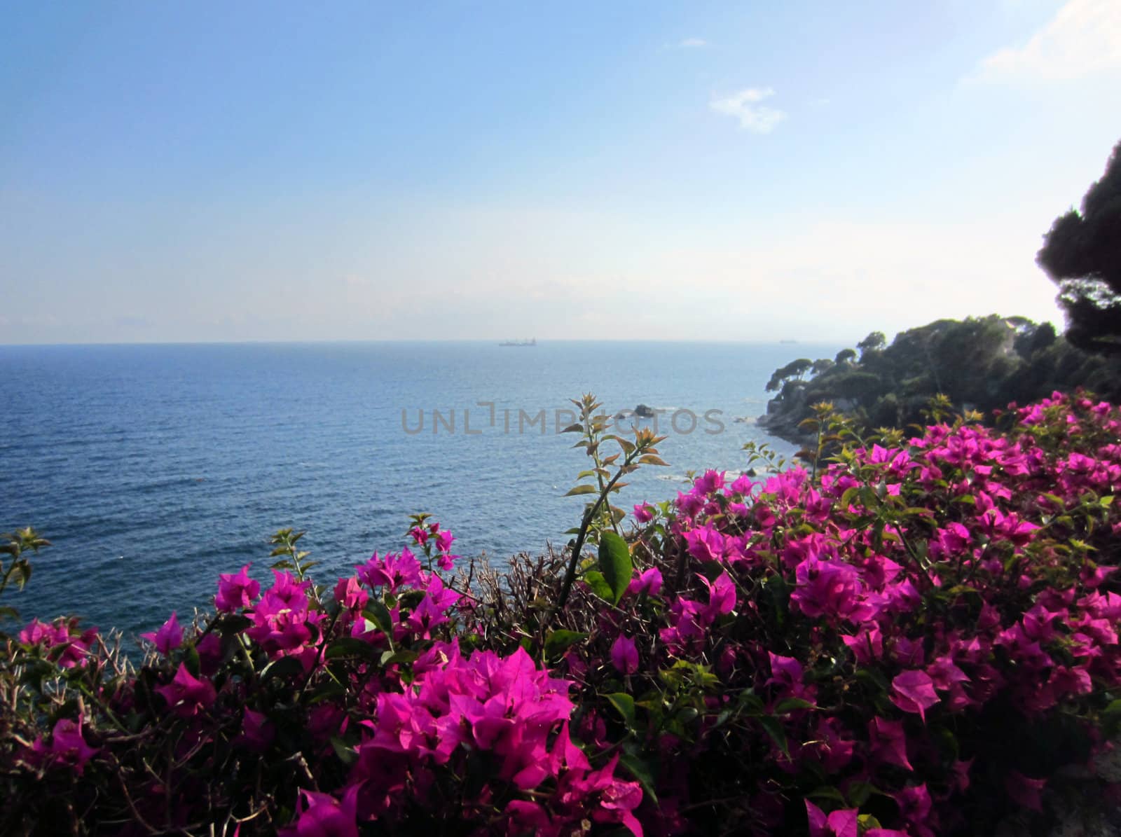 Coast of Italy in Liguria