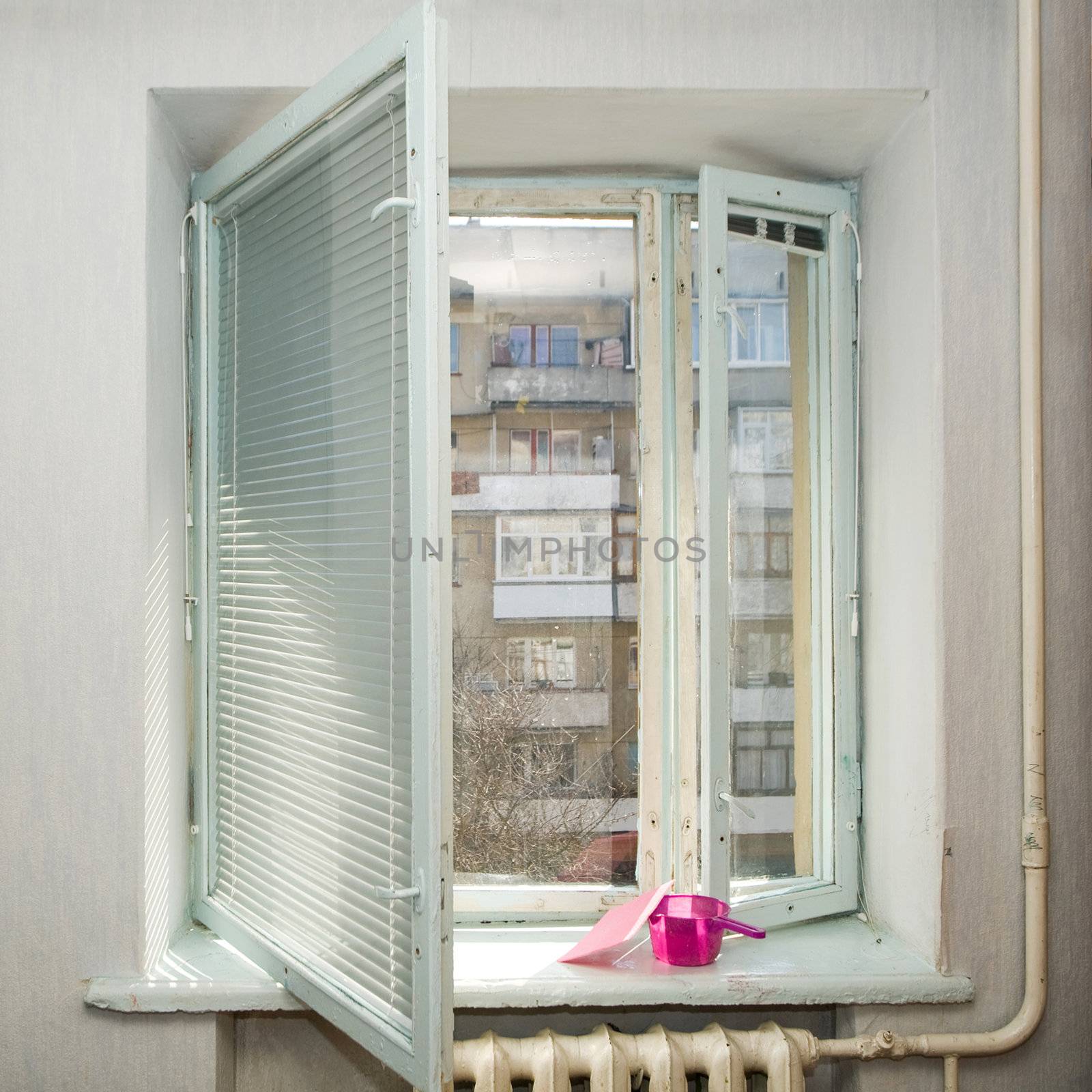 Window by velkol