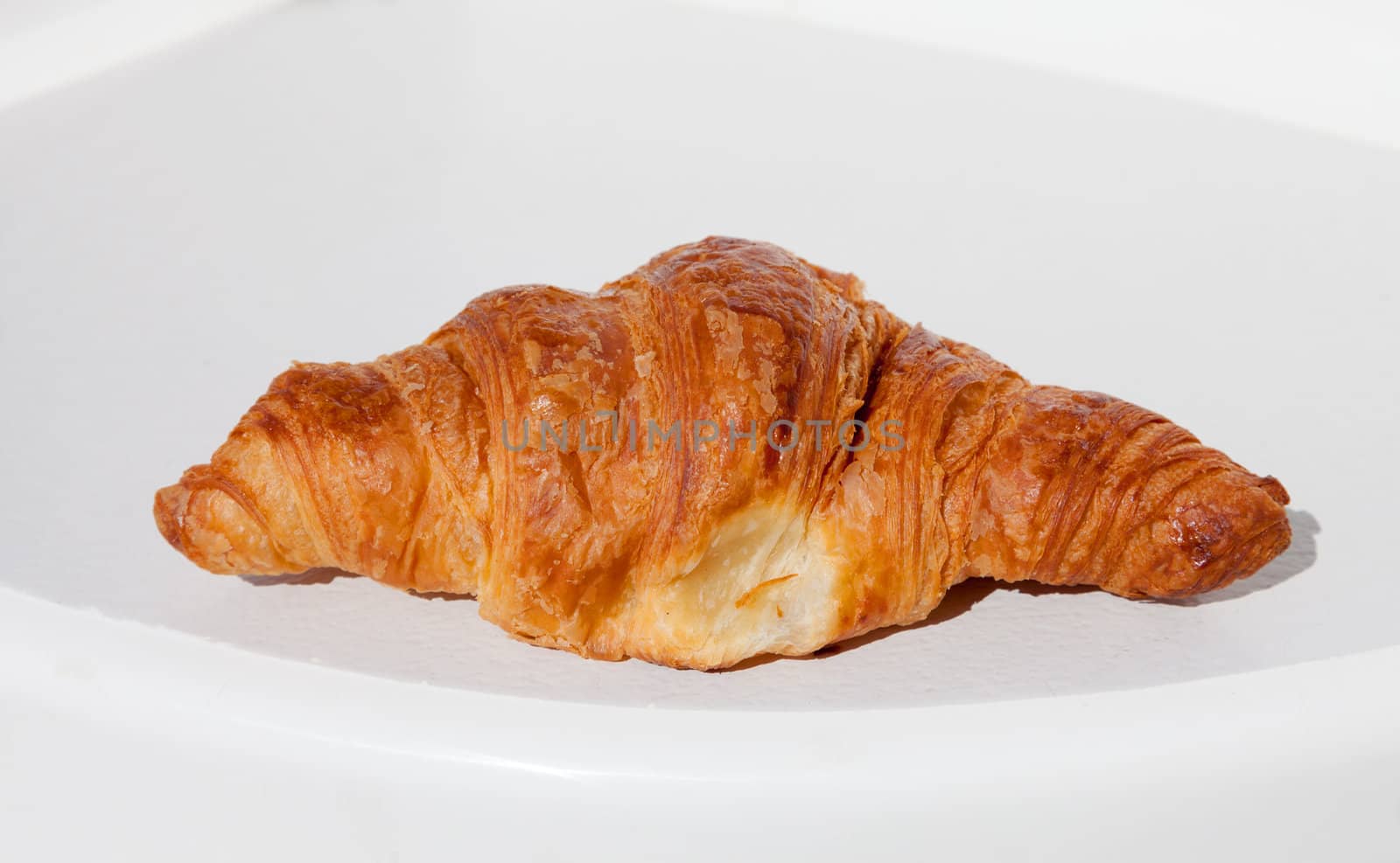 Fresh and tasty croissant on white, sunny light