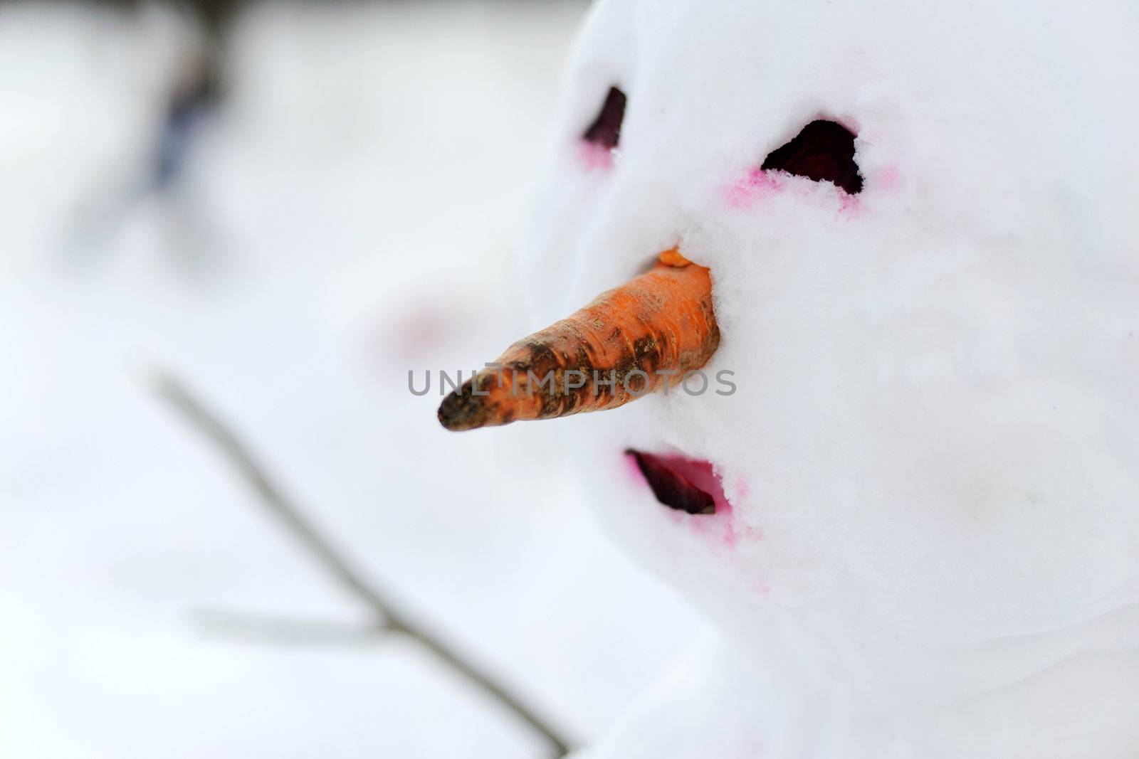 Close up view of a perfect Snowman