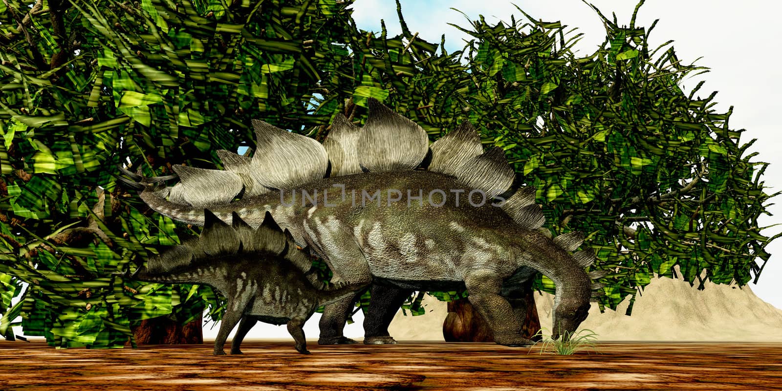 A Stegosaurus baby looks to its mother to find the best eating foliage.