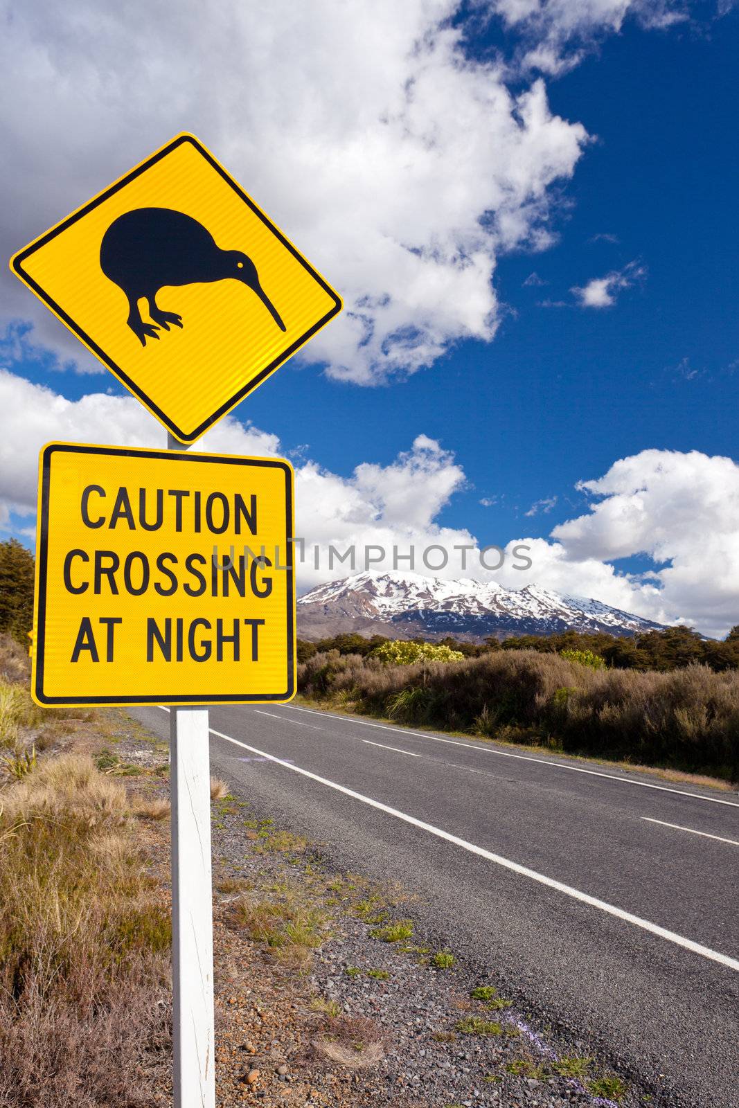 Kiwi Crossing road sign and volcano Ruapehu NZ by PiLens