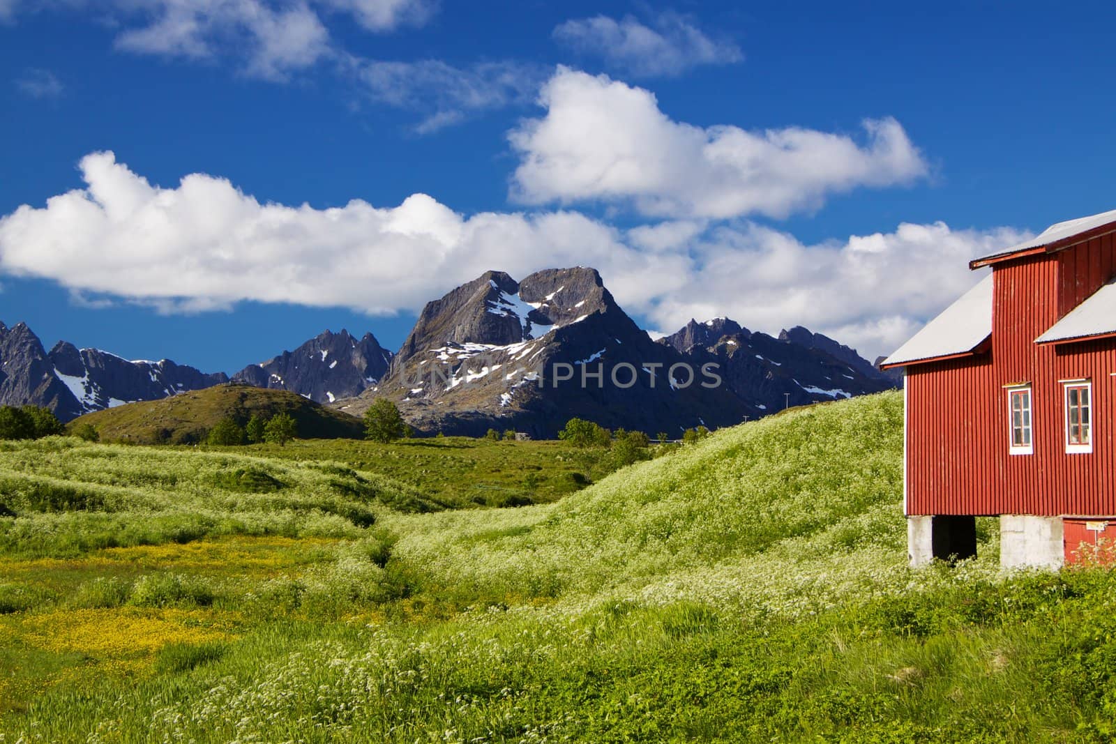 Scenic Lofoten by Harvepino