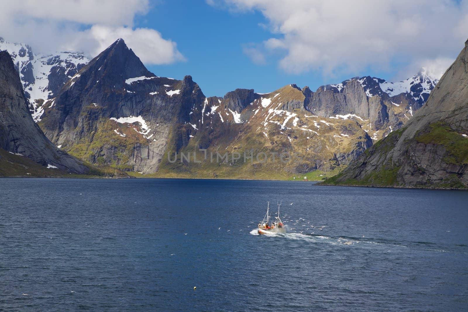 Fishing boat in fjord by Harvepino