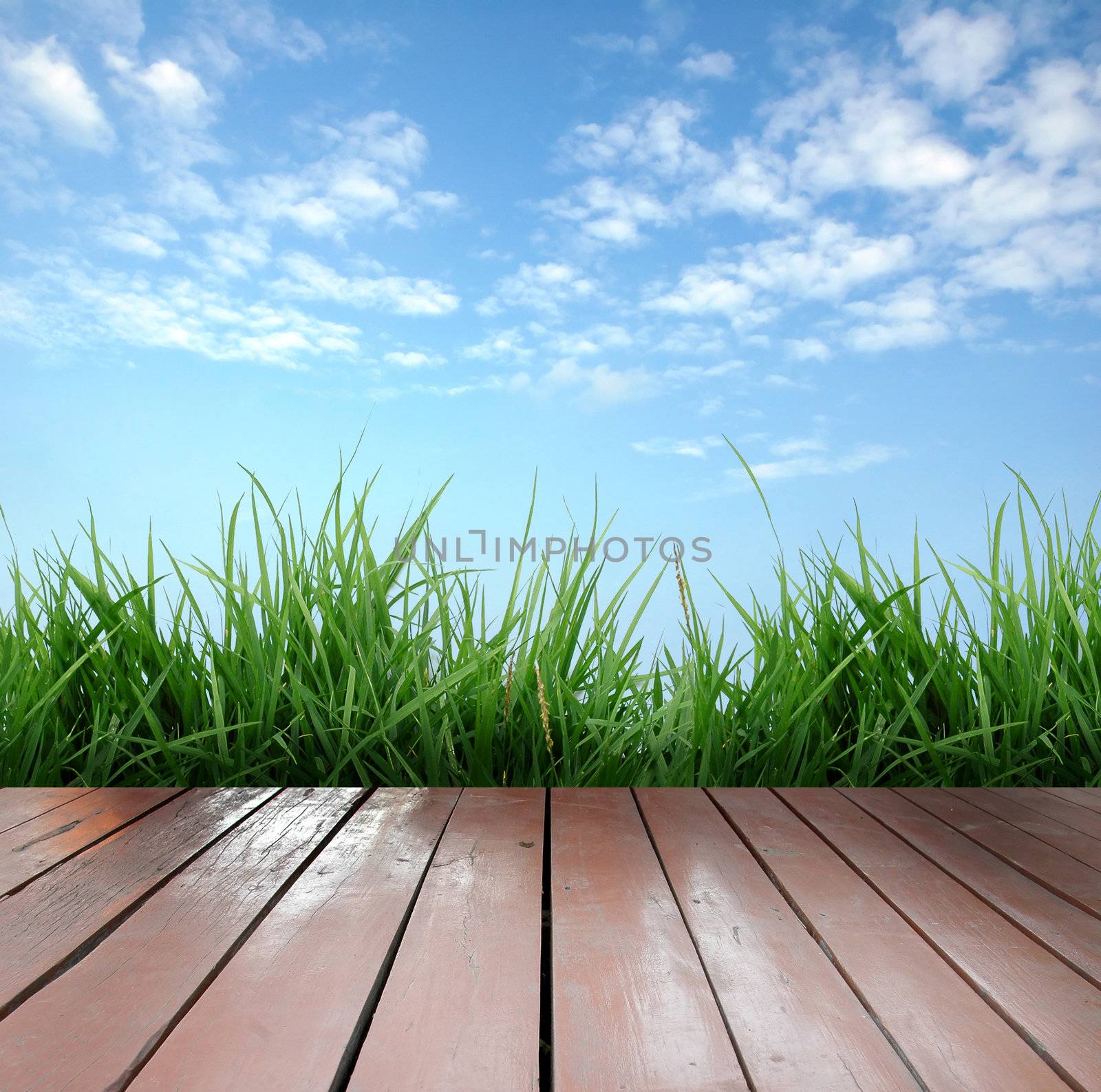 wooden terrace