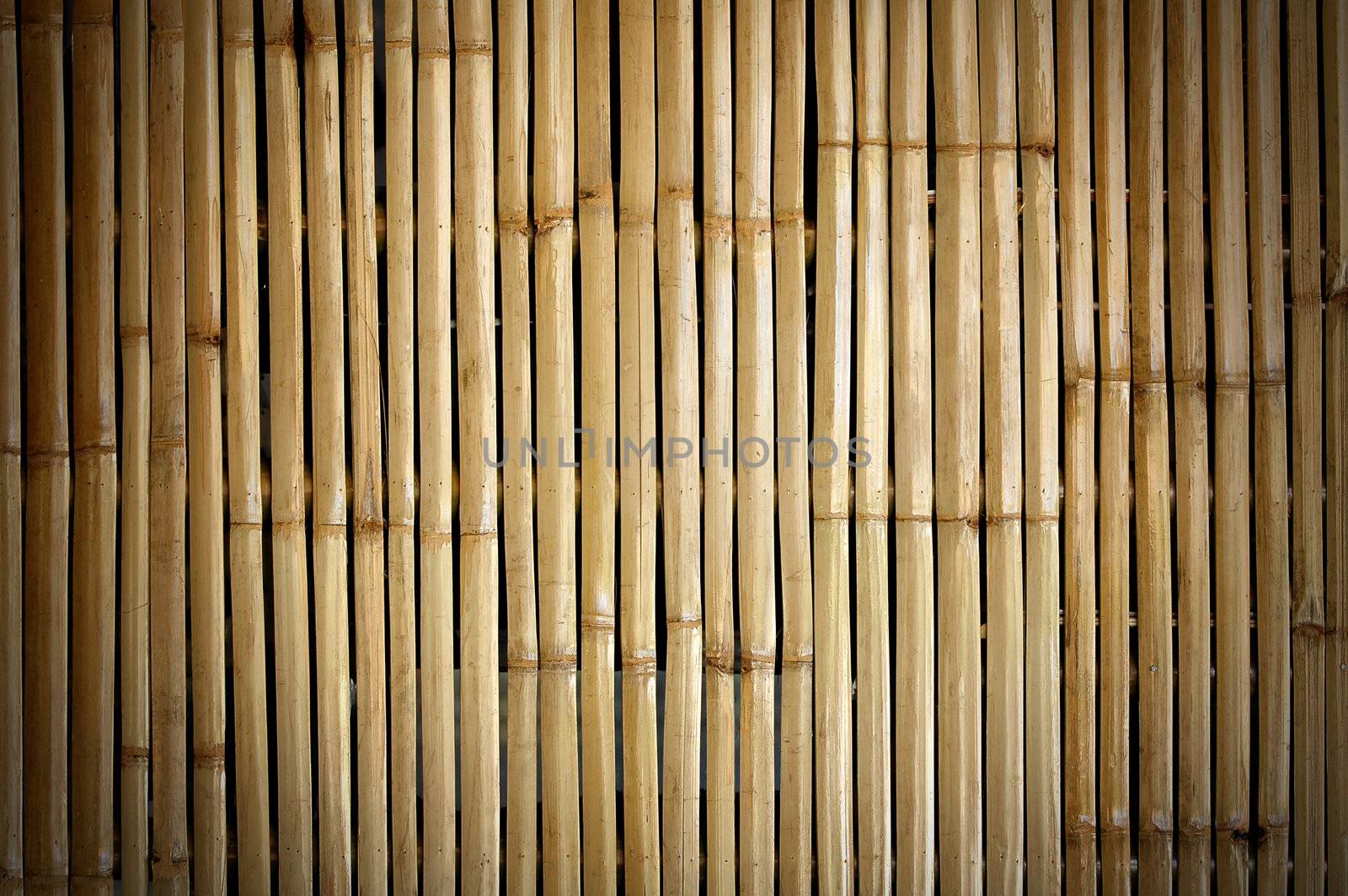 bamboo fence