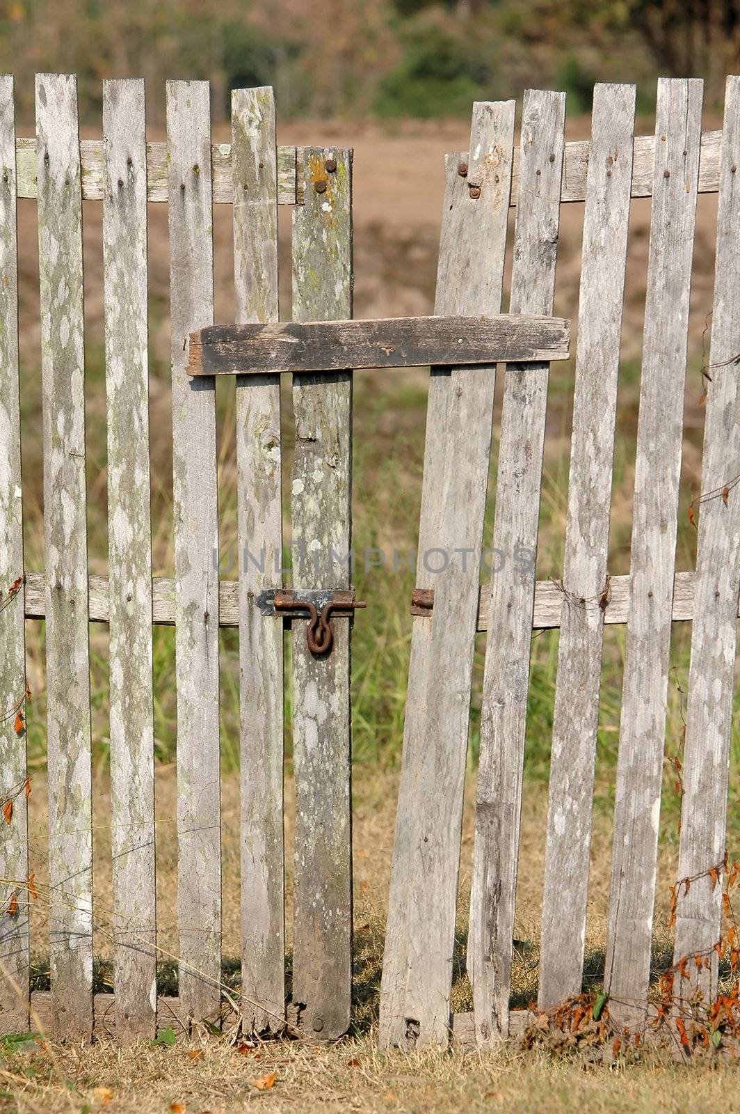 old wooden fence with a gate  by anankkml