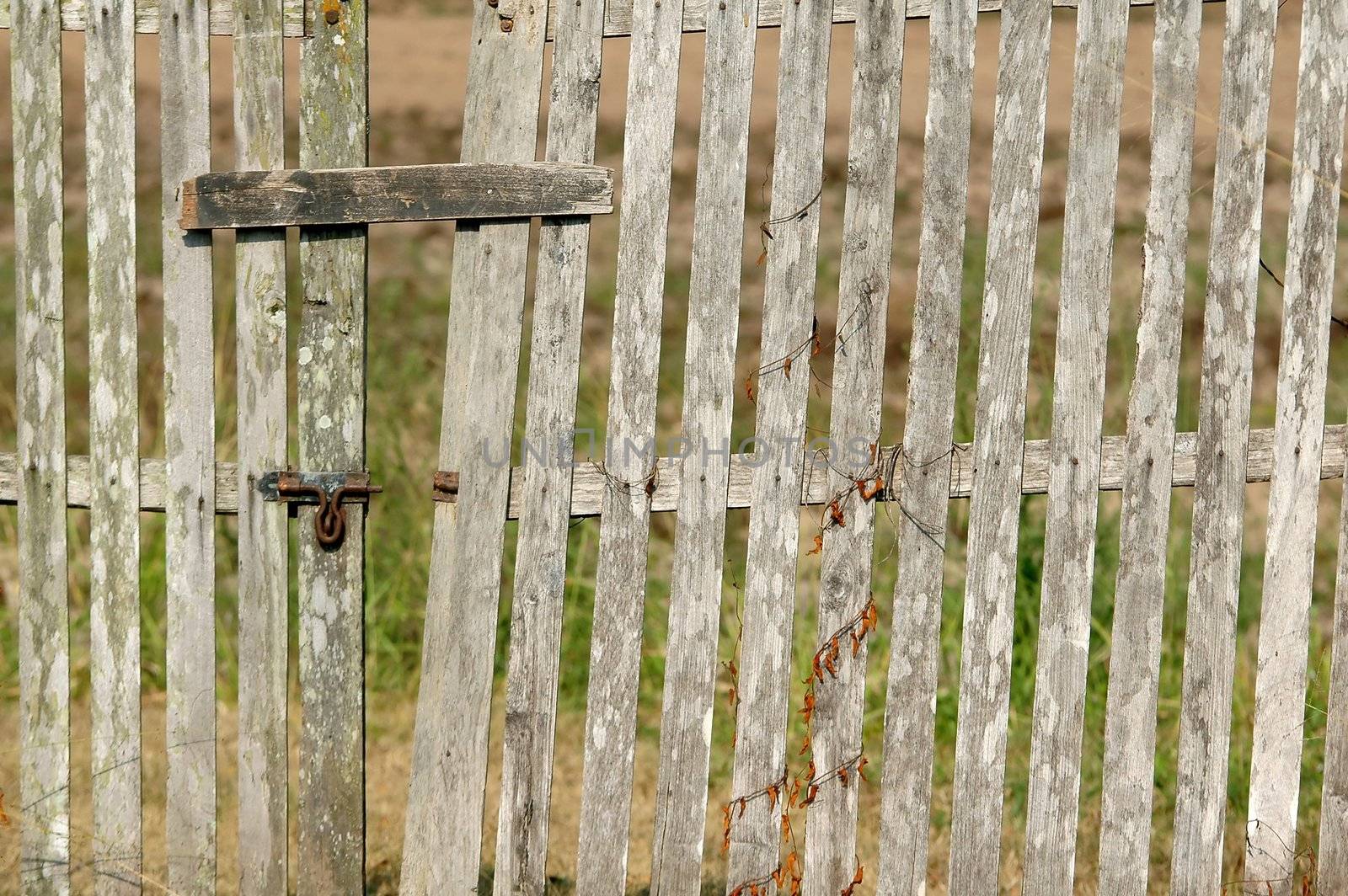 old wooden fence with a gate  by anankkml