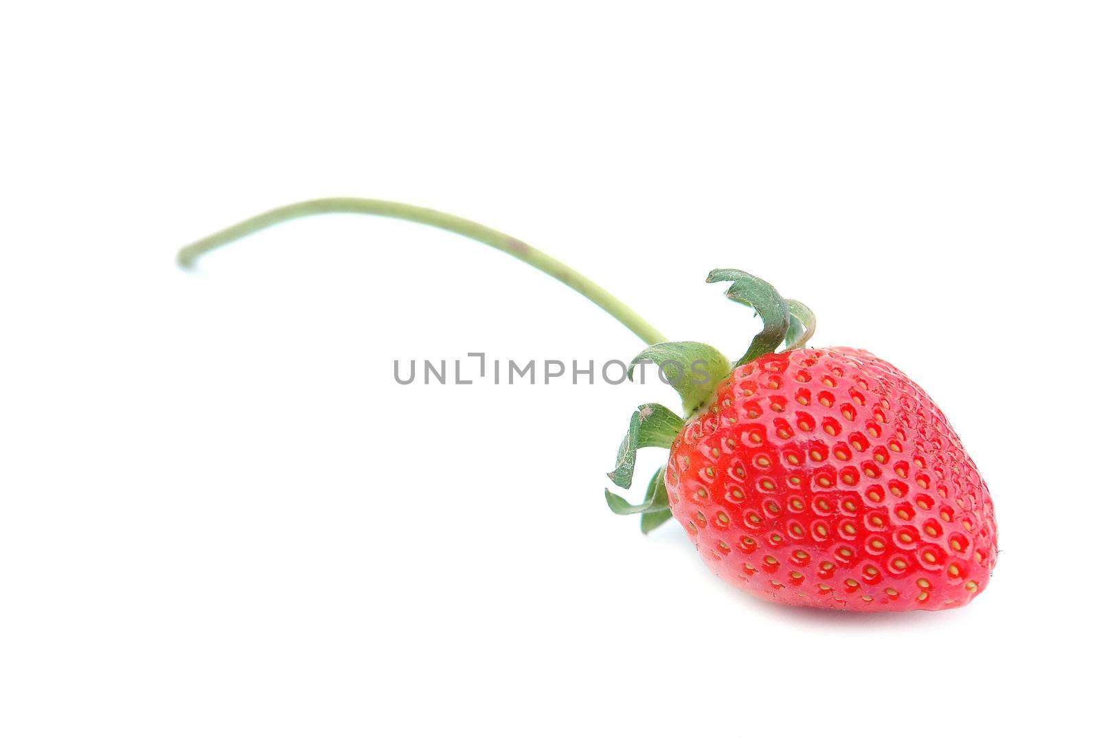 fresh strawberry and white background