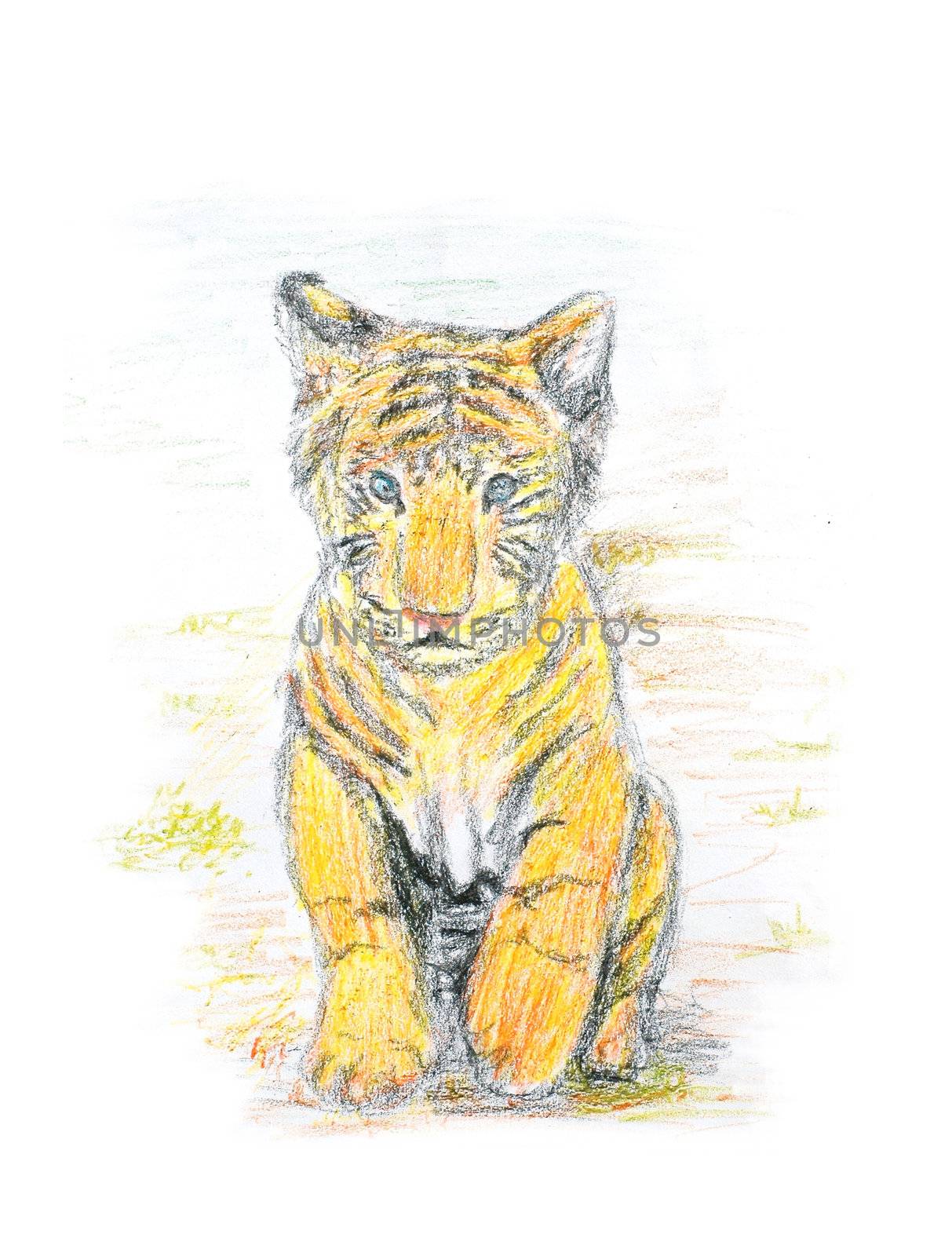 bengal tiger cub crayon painting