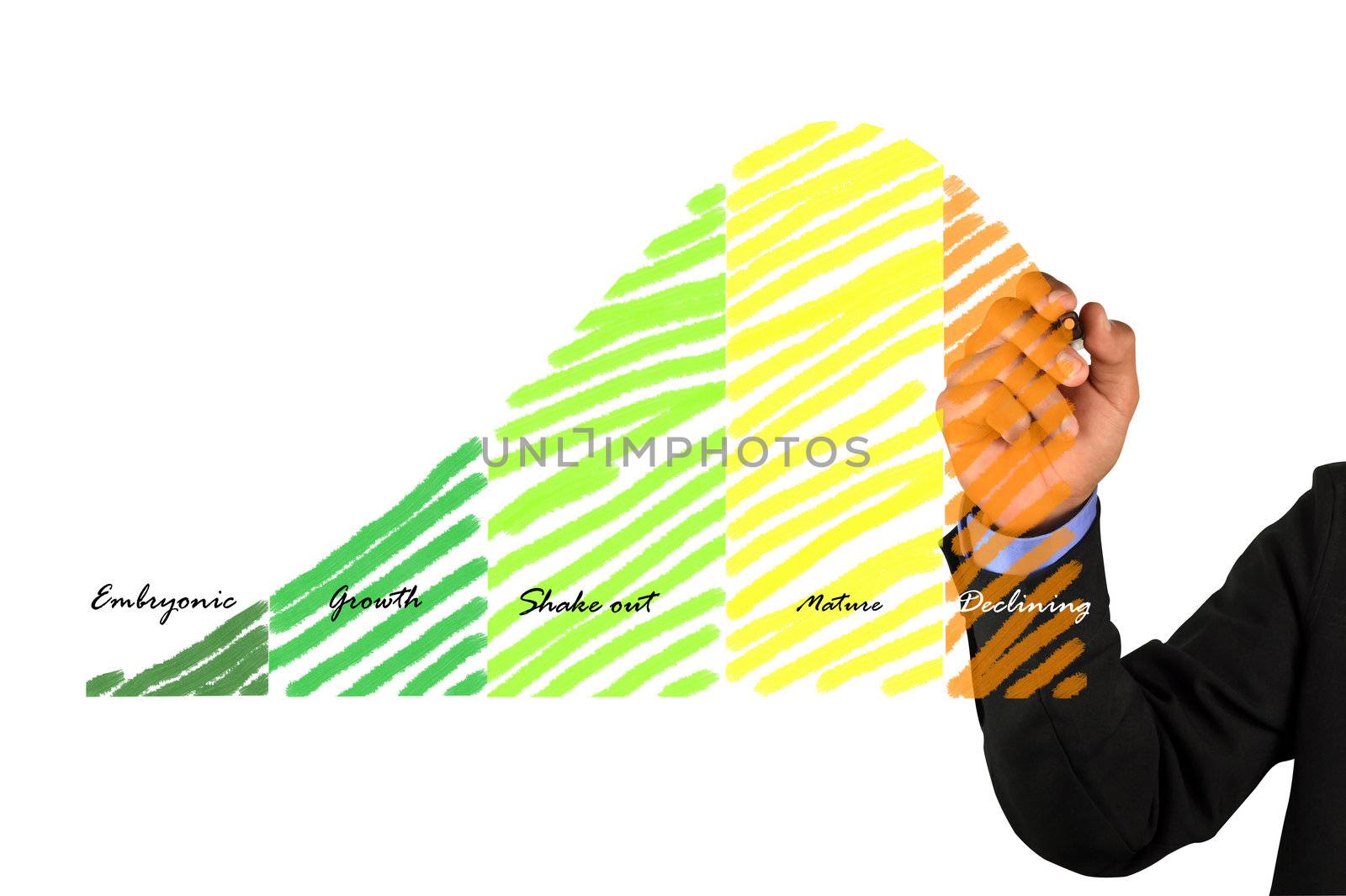 businessman write a business life cycle graph