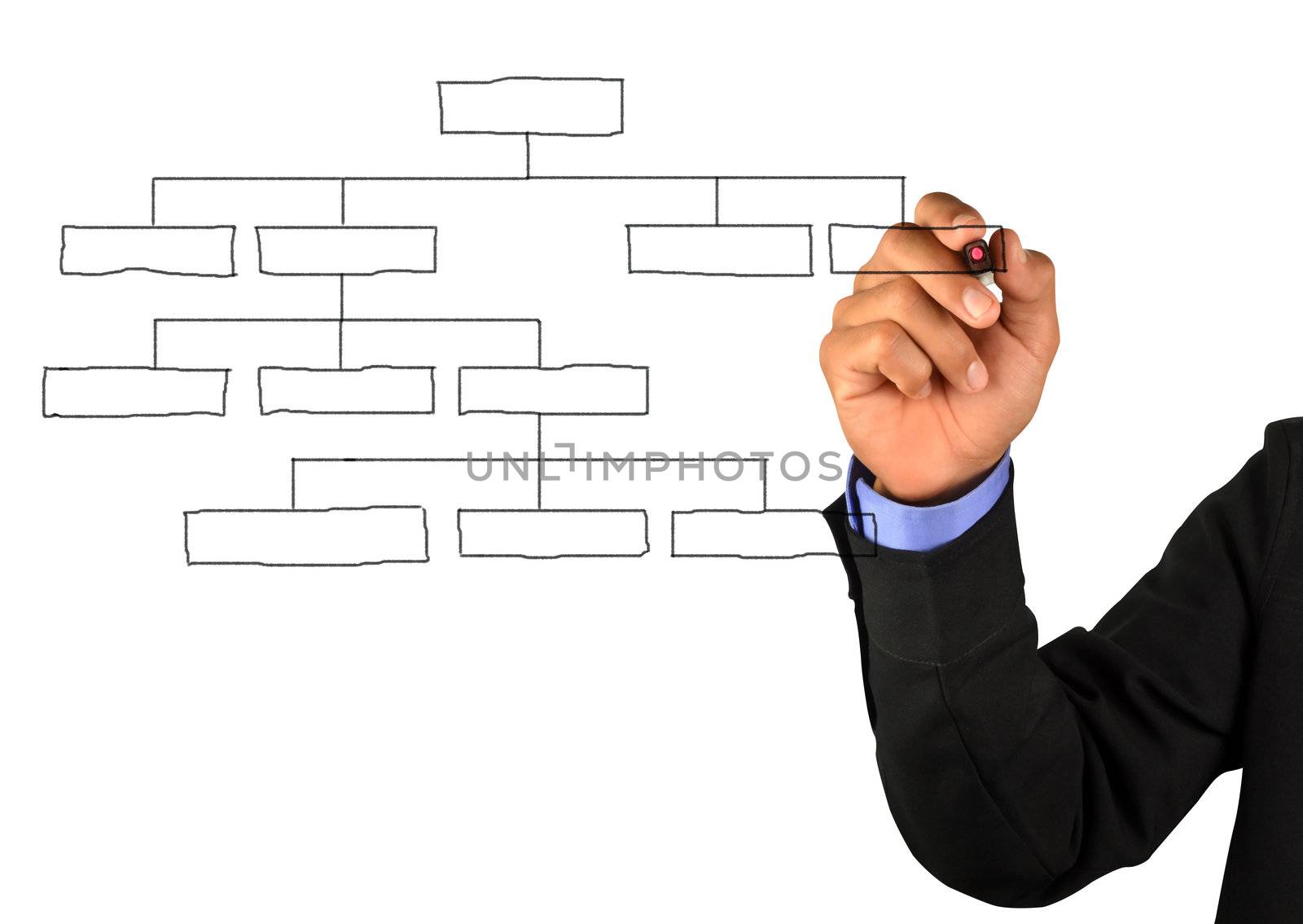 businessman drawing an organization chart  by anankkml