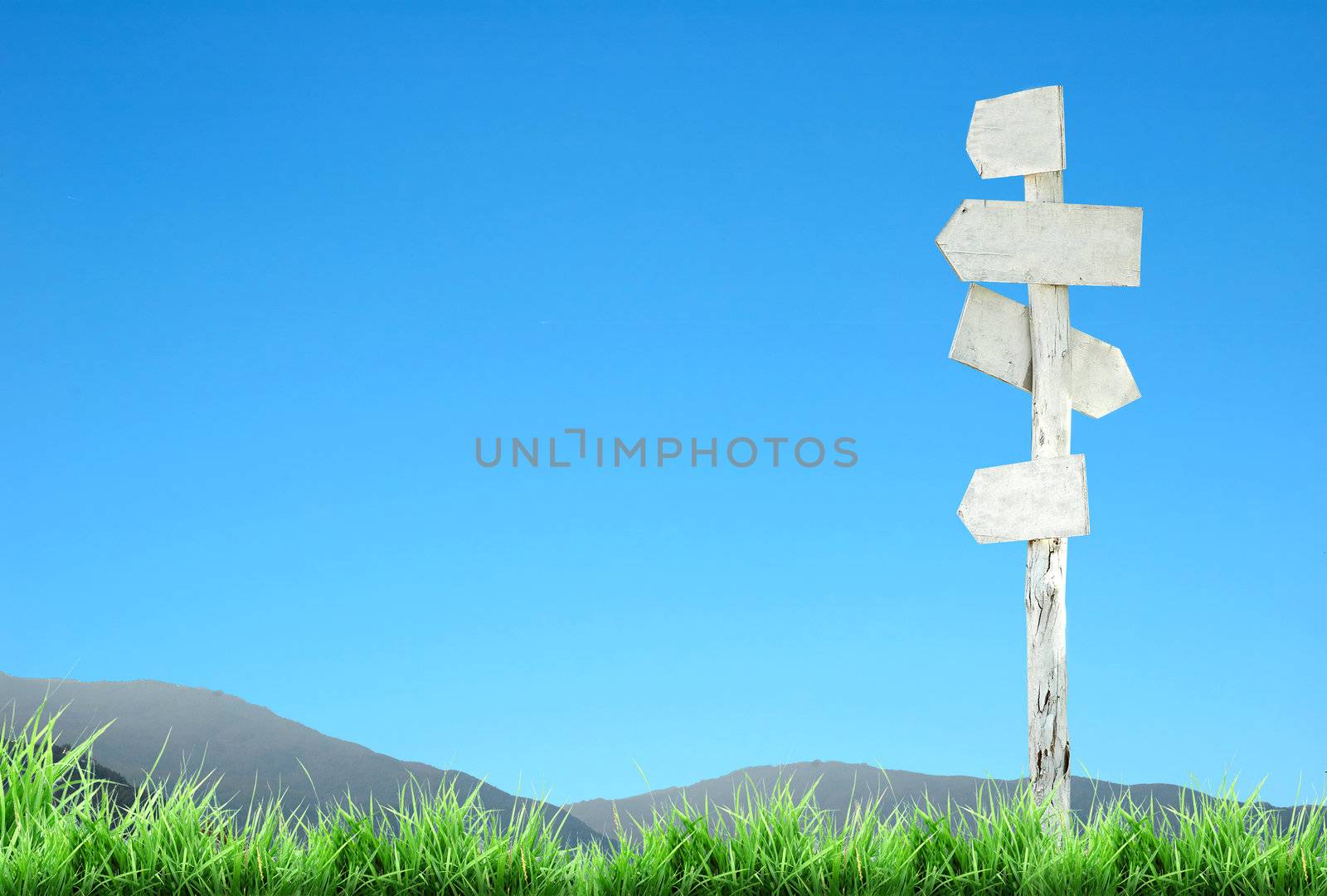 signpost by anankkml