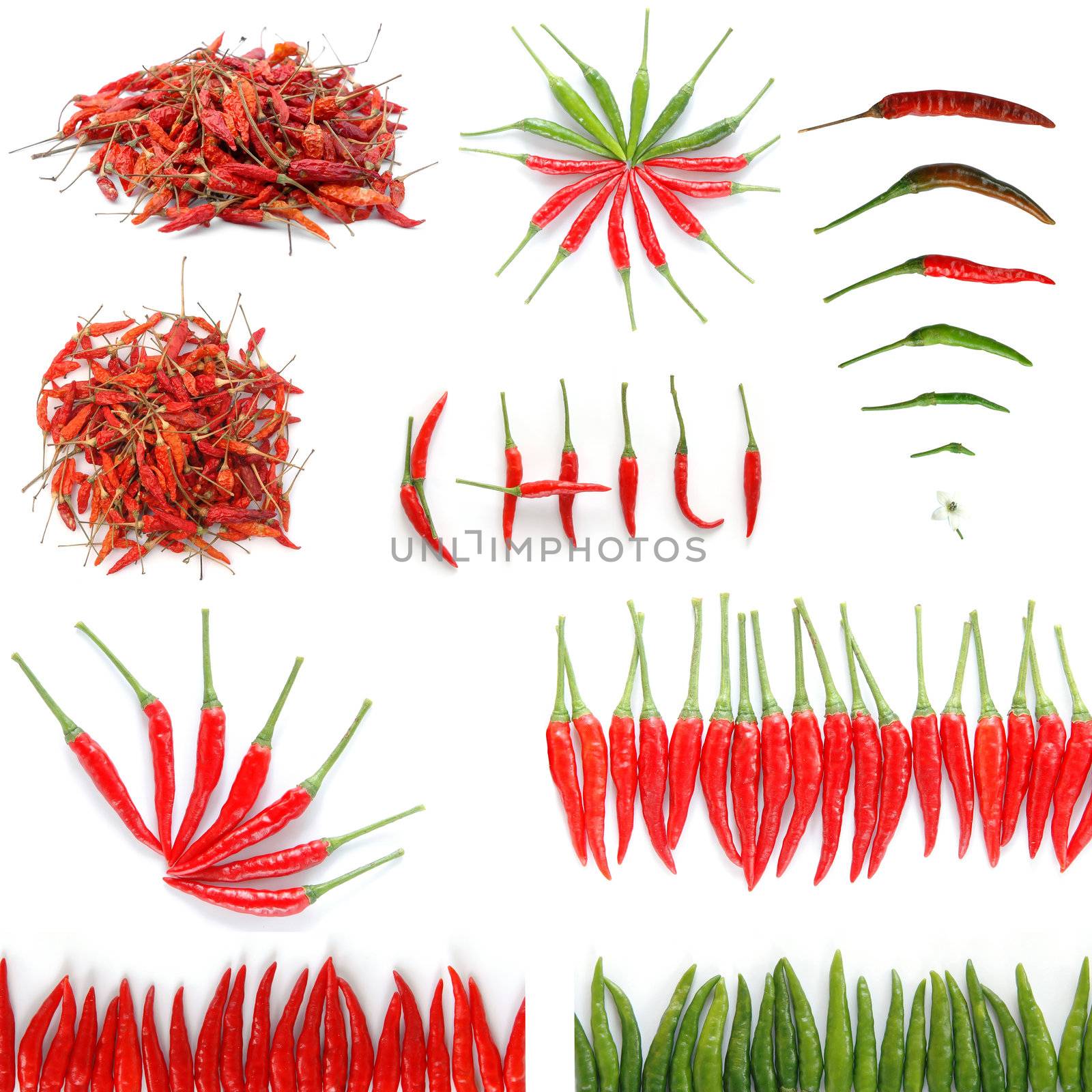 fresh and dried chili isolated by anankkml