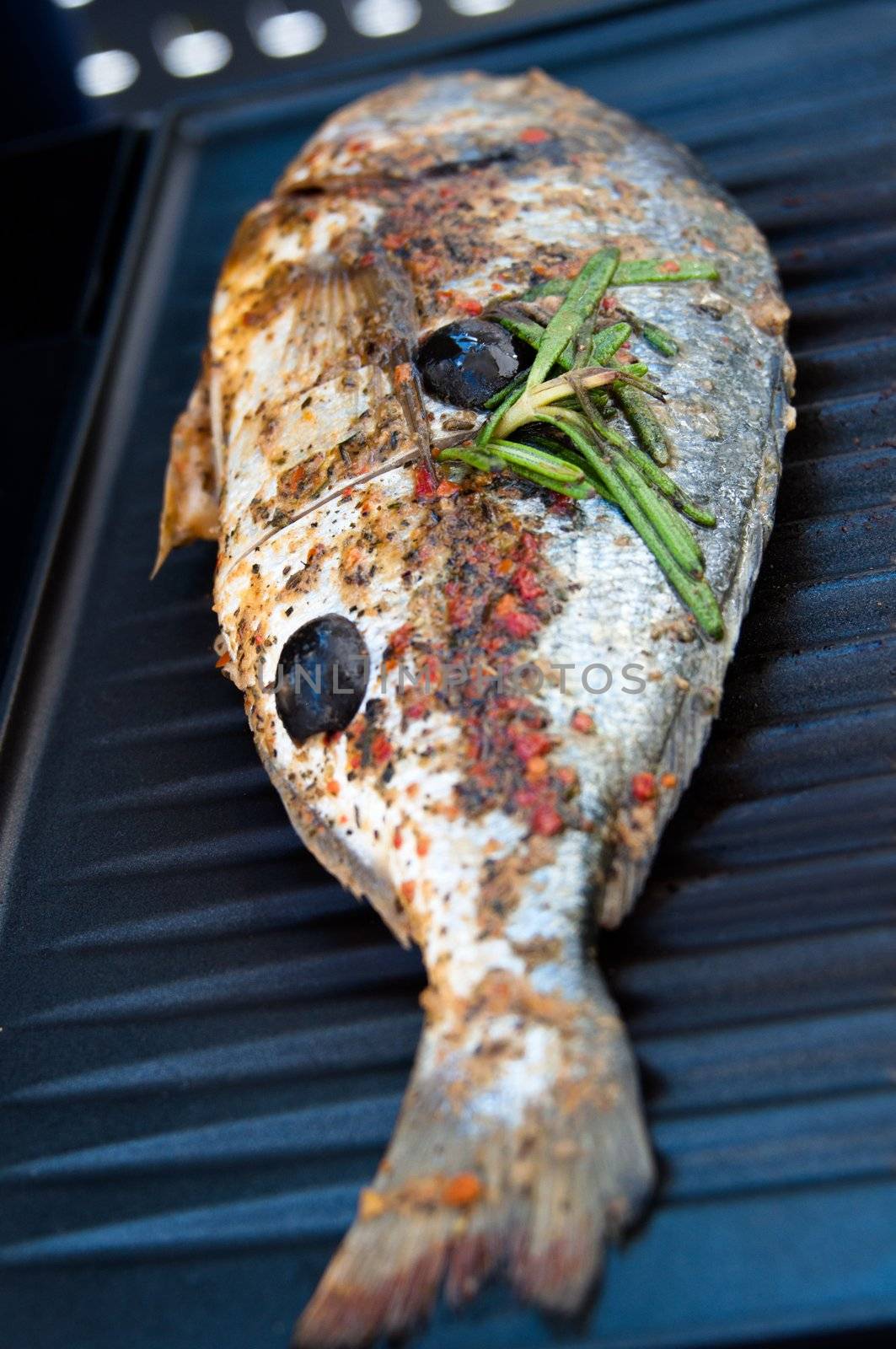 Gilthead seabream nicely marinated and ready for barbecue