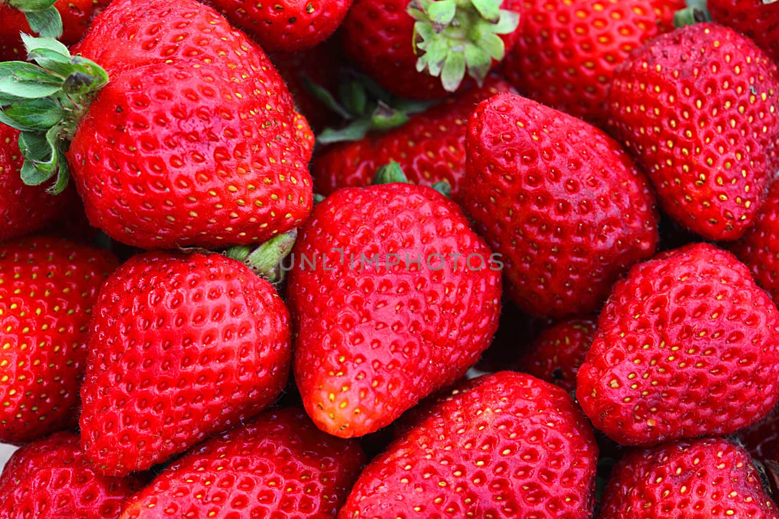 bunch of fresh strawberries close up