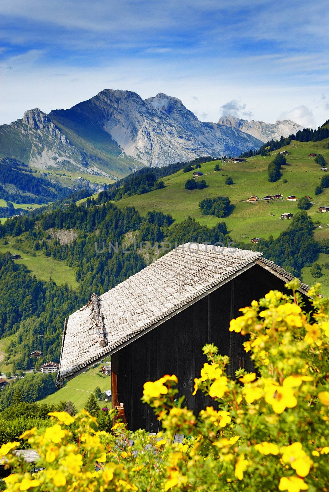 a nice view of a chalet in summer, with flower and alps mountains, France