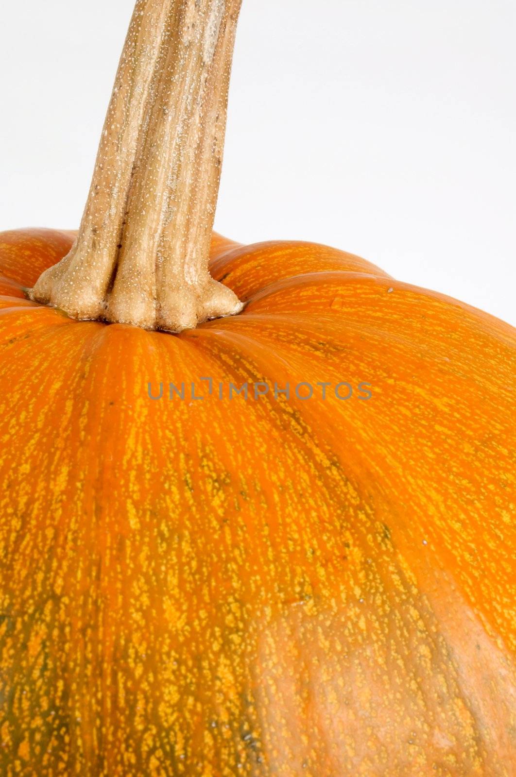An image of part of yellow pumpkin