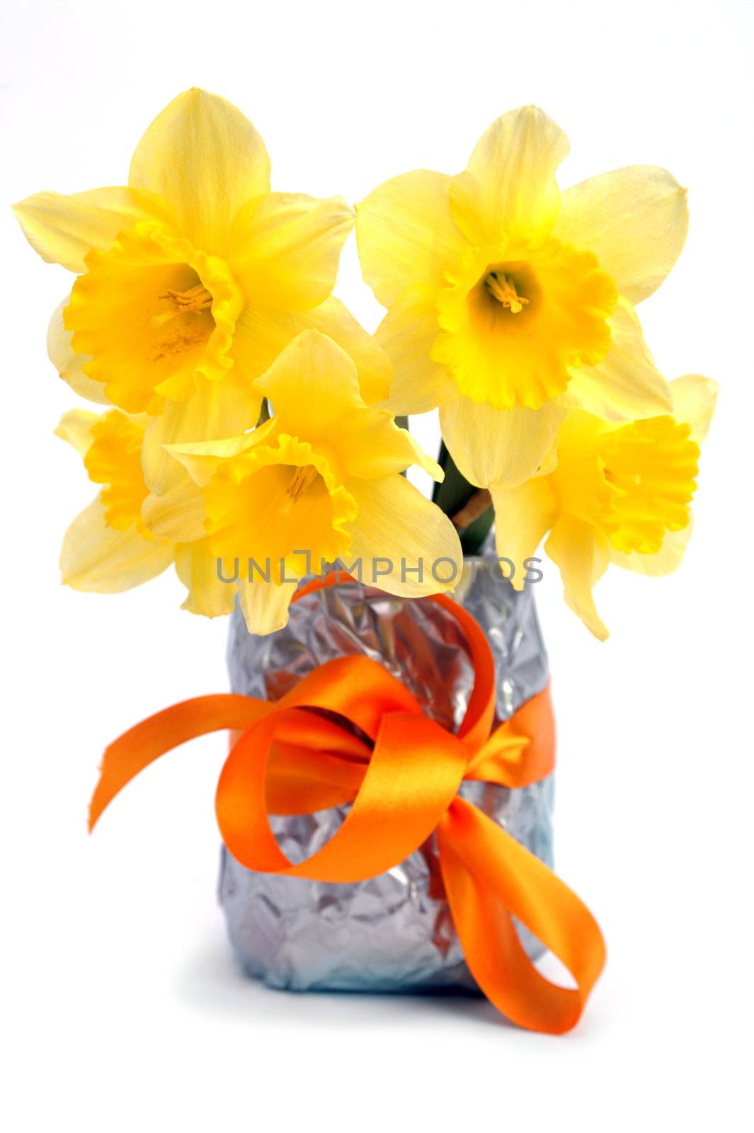 An image of yellow daffodils in a vase
